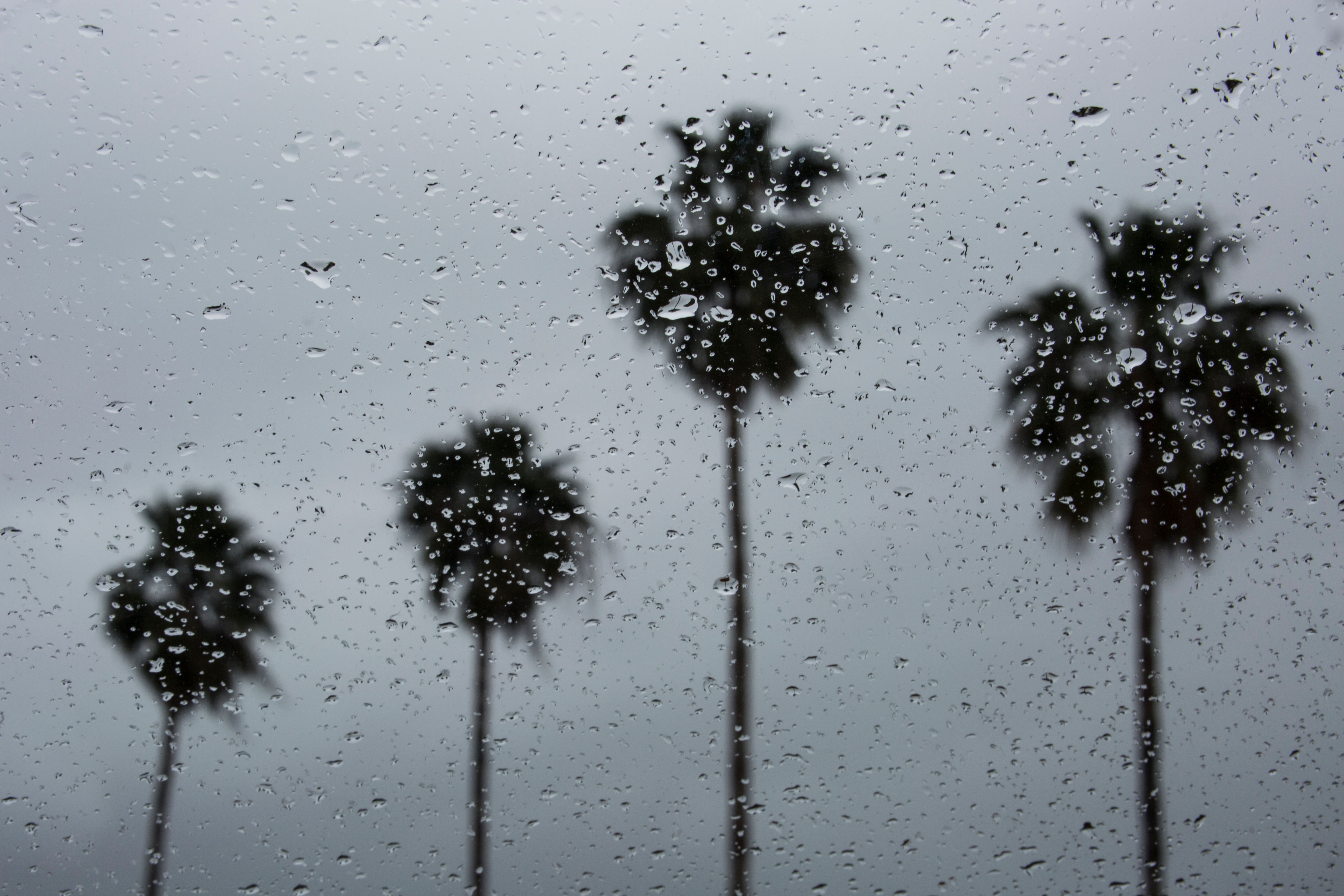 los angeles rain