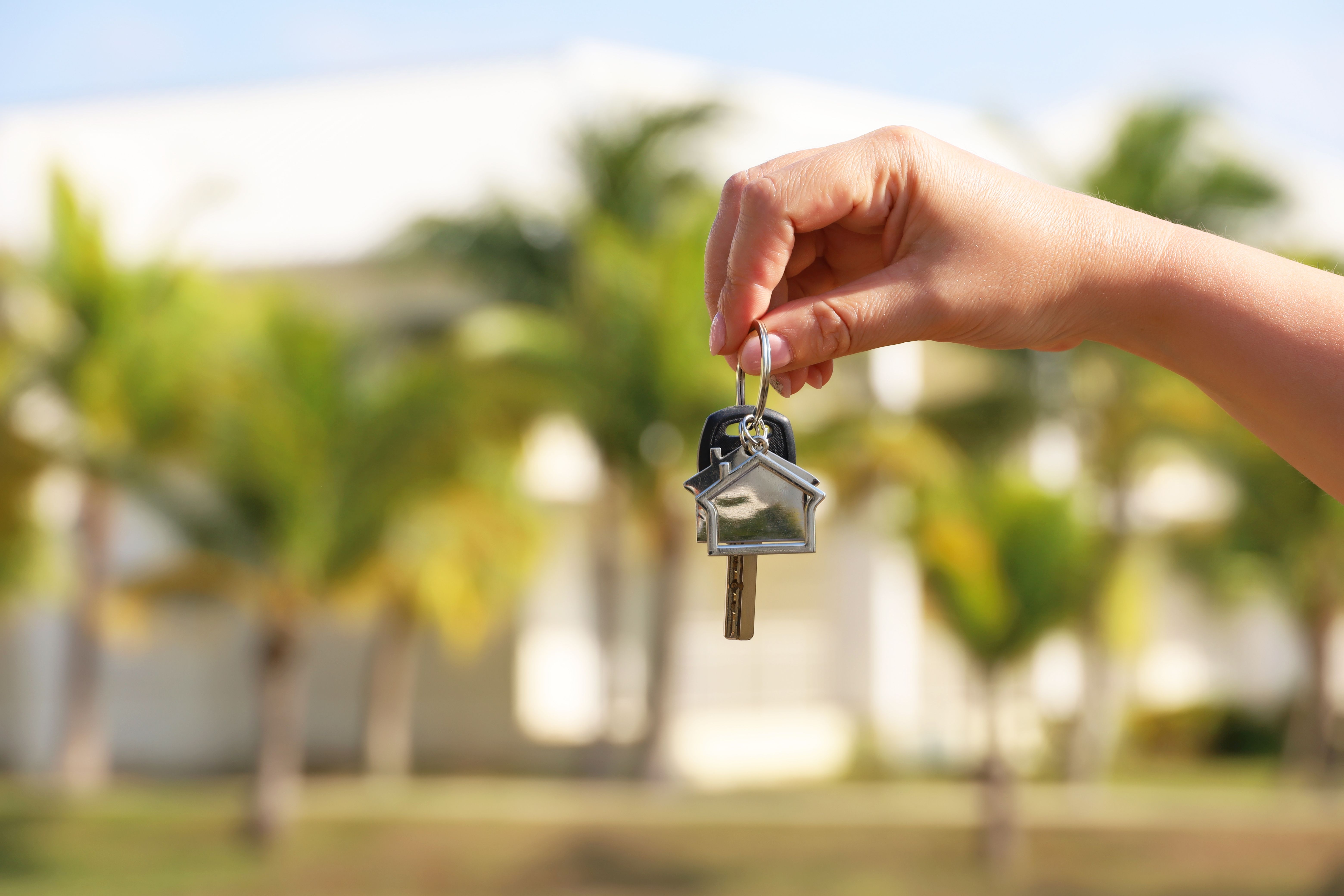 florida property management