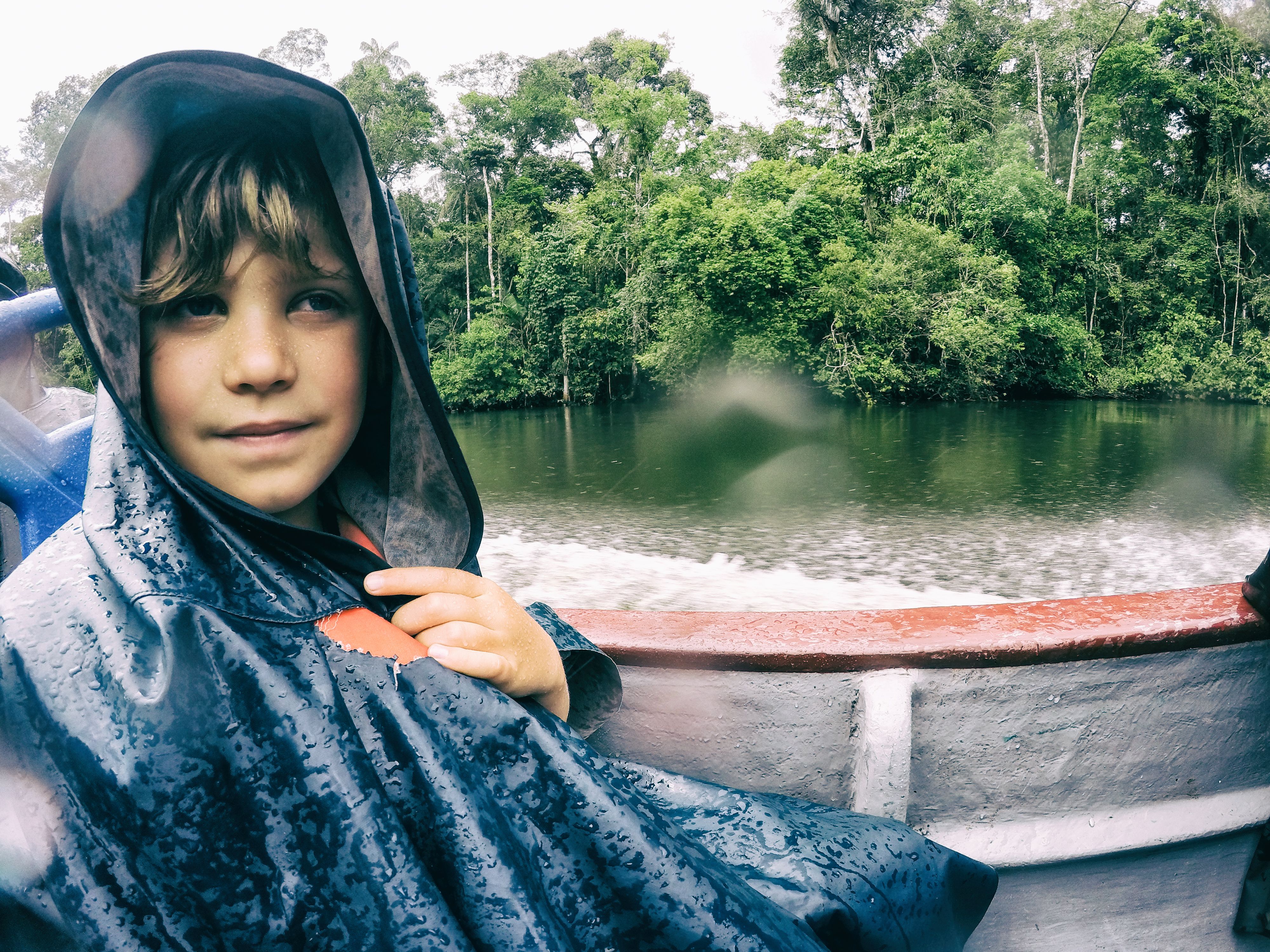 tour guide rainforest