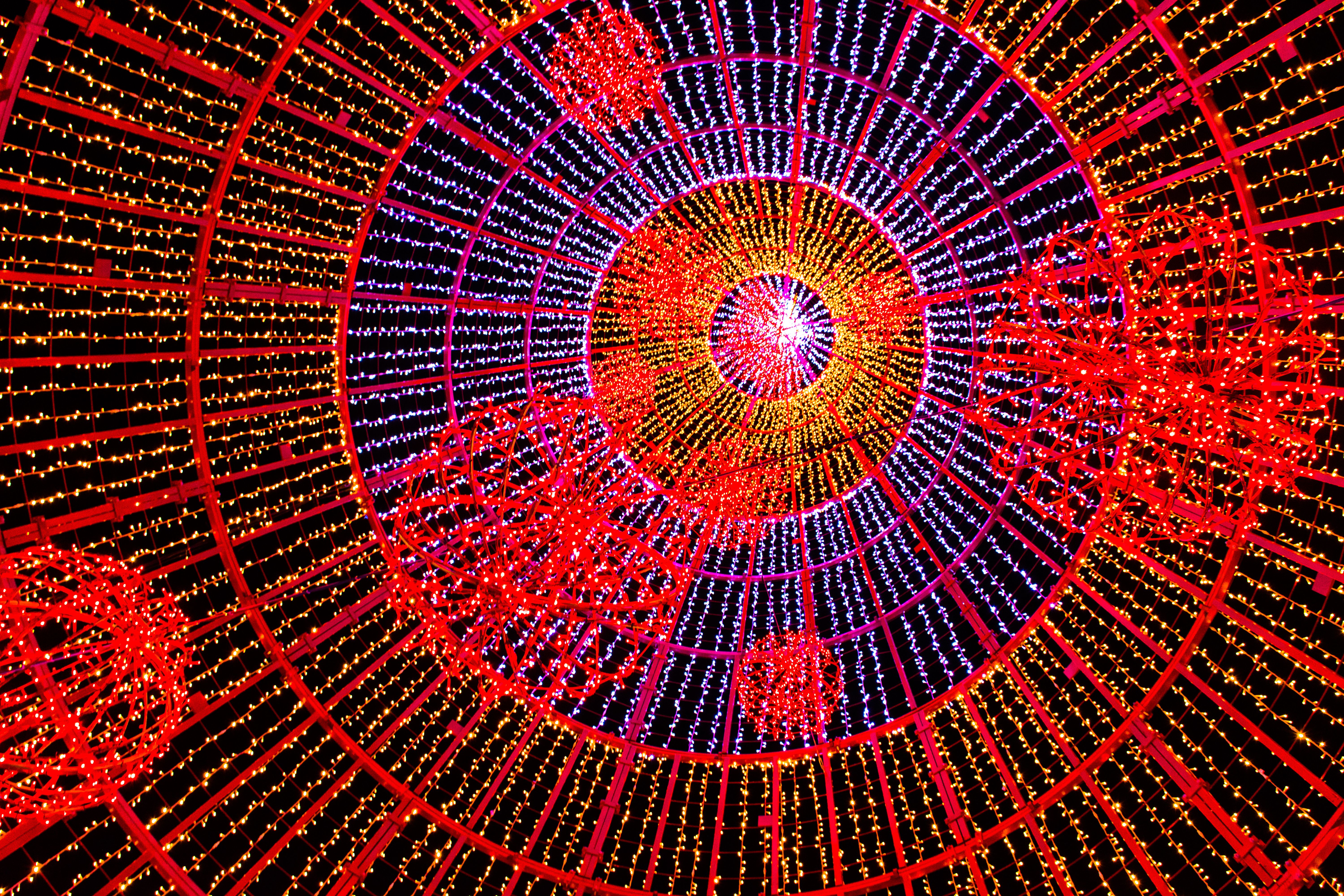 Christmas lights Madeira