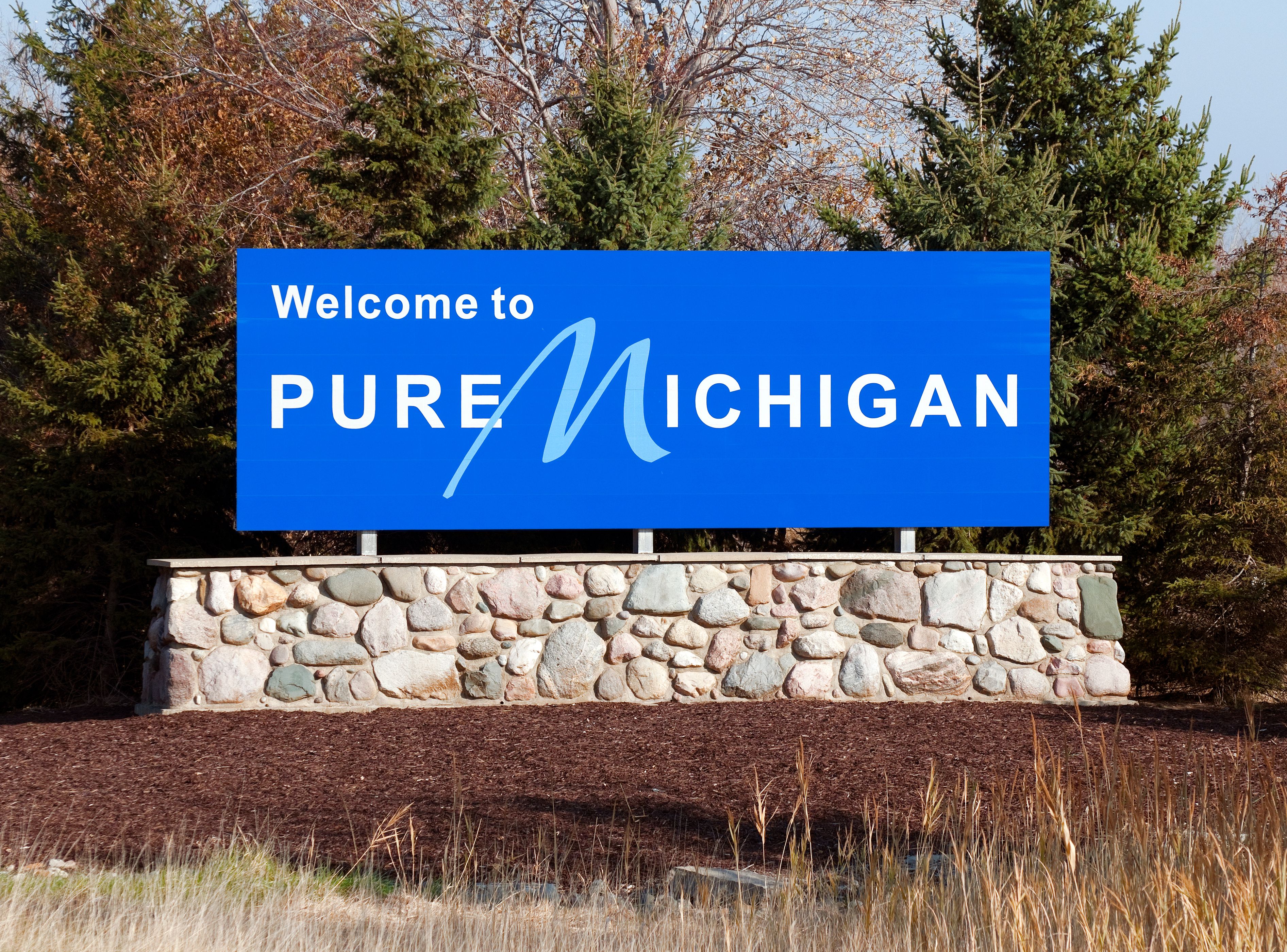 michigan business
