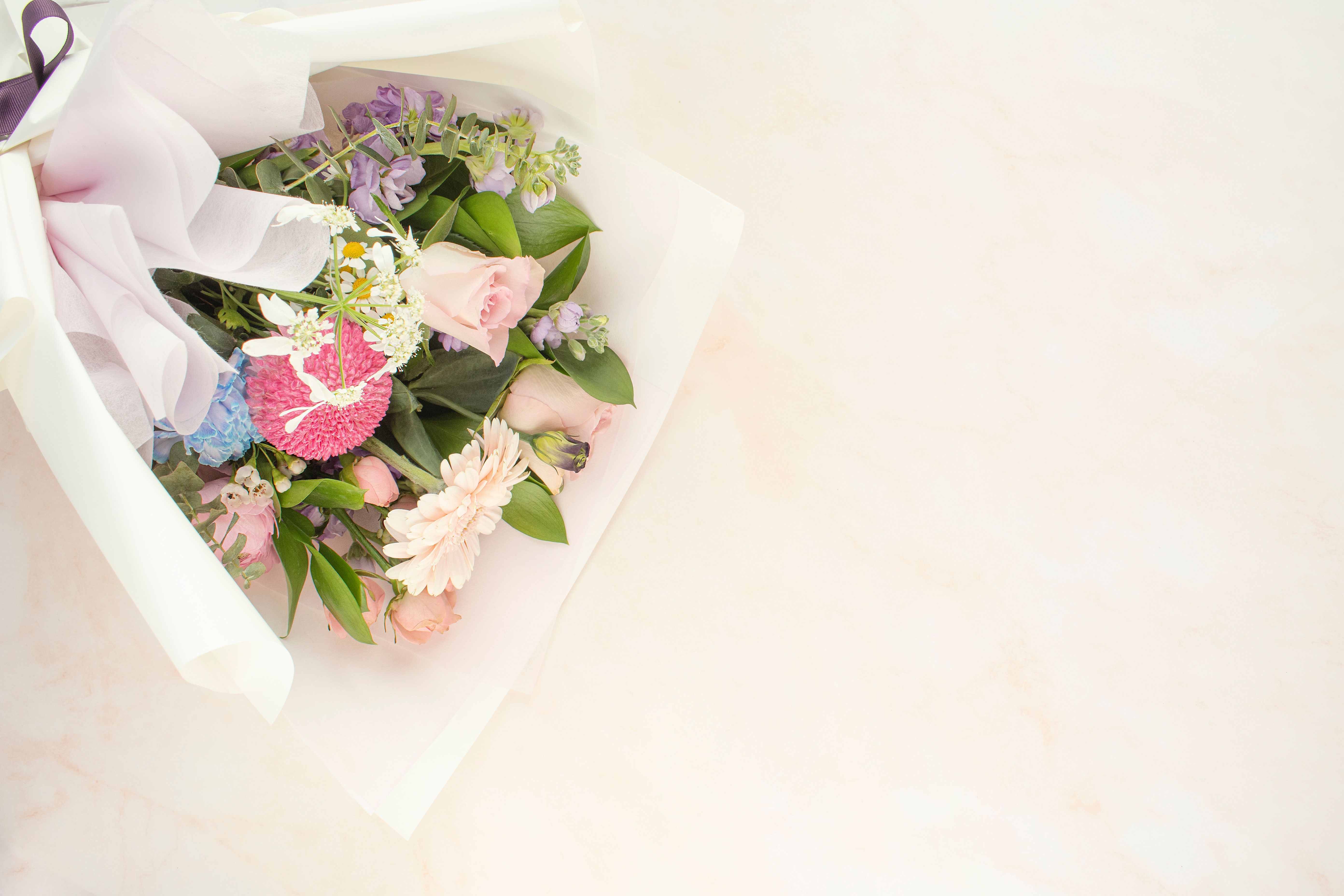 certified event planner