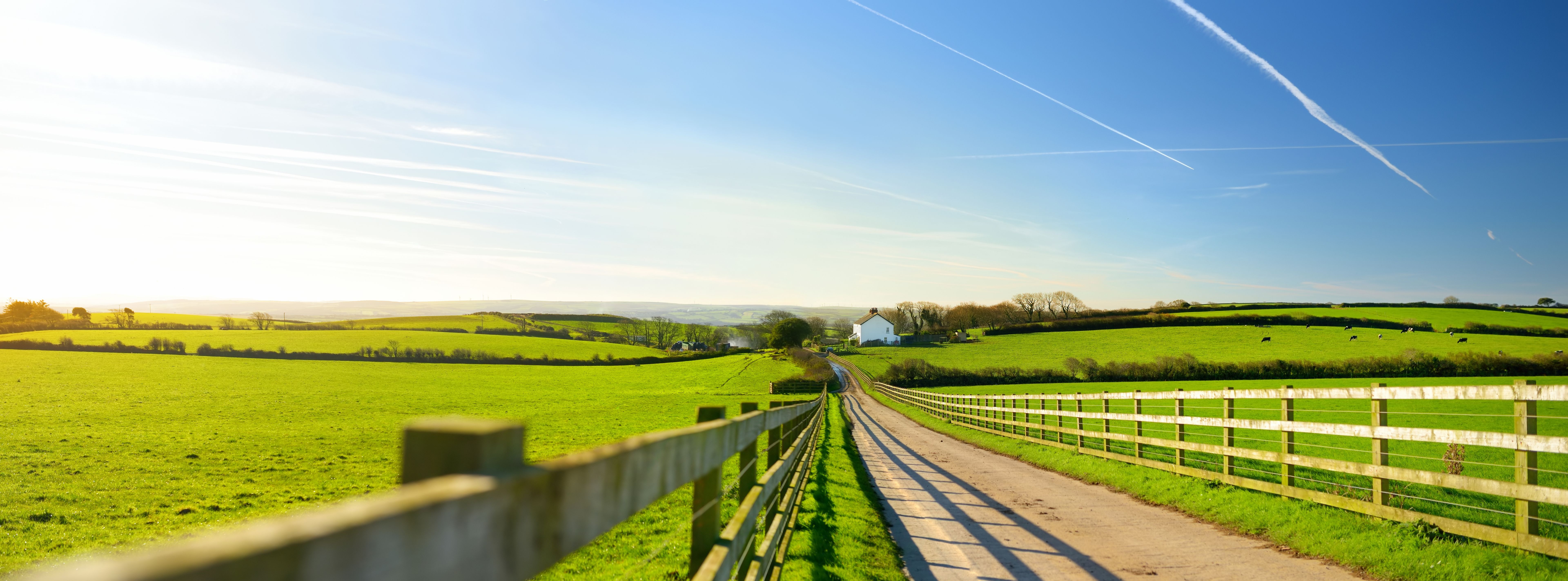 Fence casting shadows on a road leading to small house between scenic Cornish fields under blue sky, Cornwall, England Fence casting shadows on a road leading to small house between scenic Cornish fields under blue sky, Cornwall, England