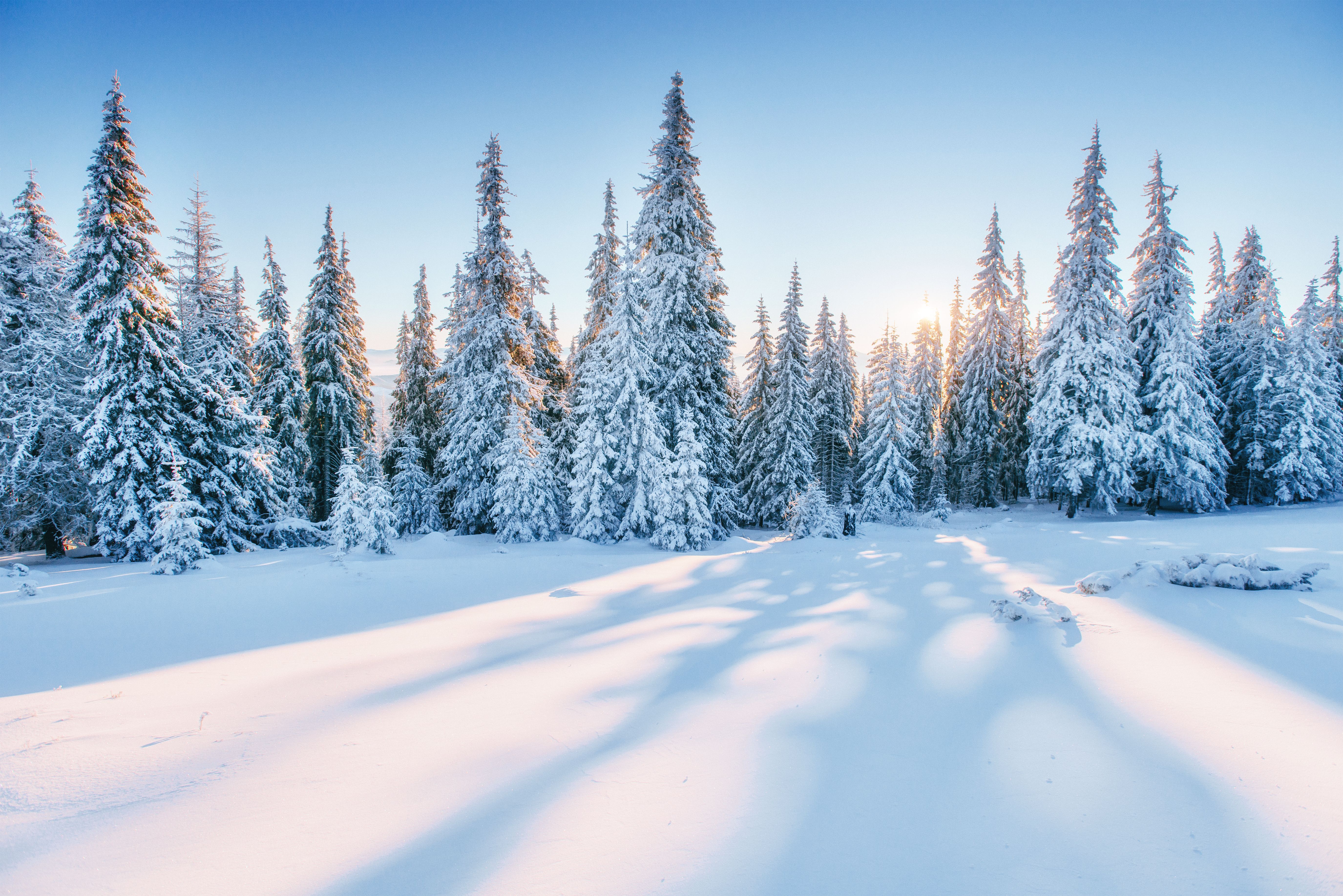 winter landscape