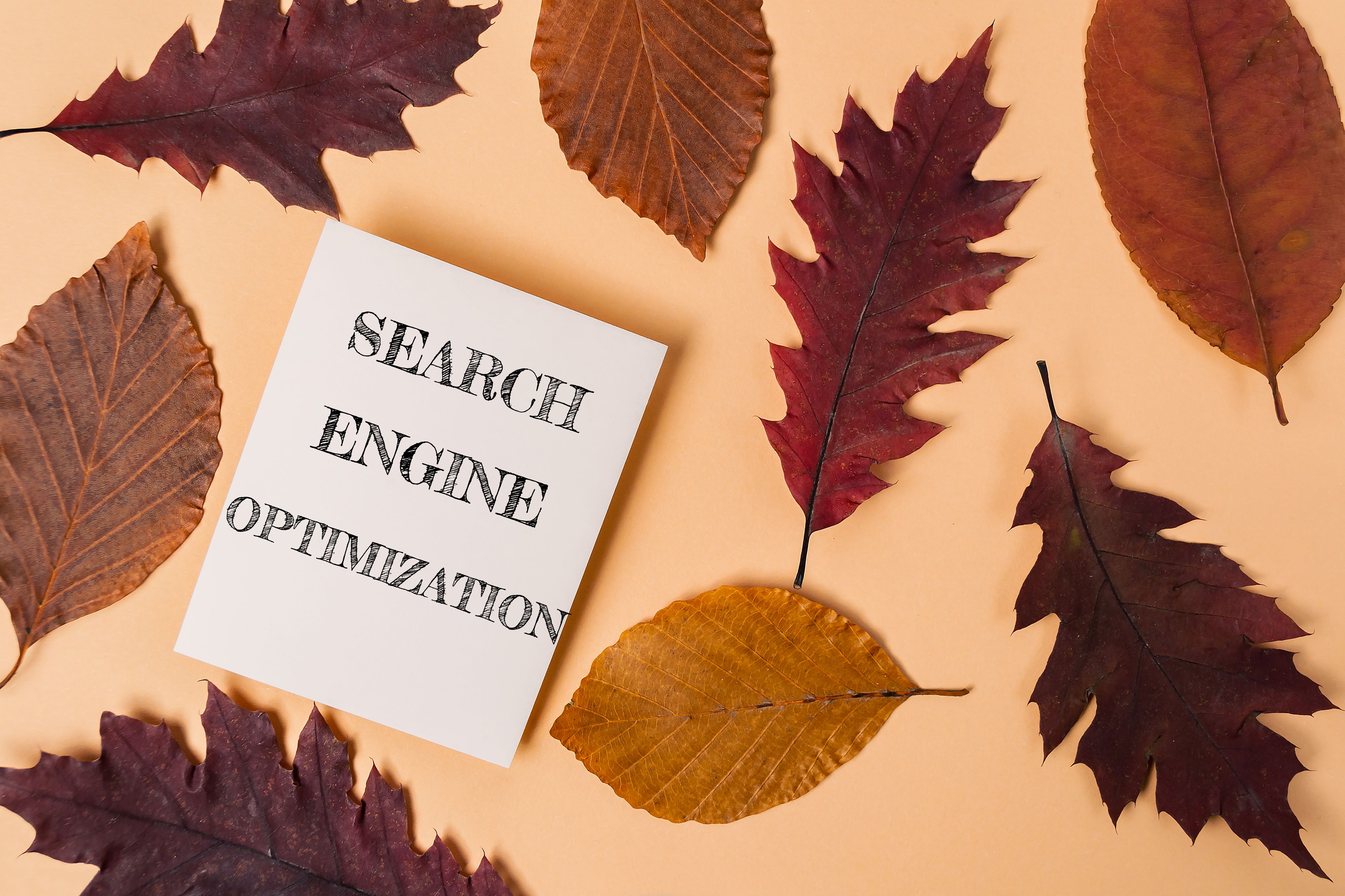 on-page seo techniques