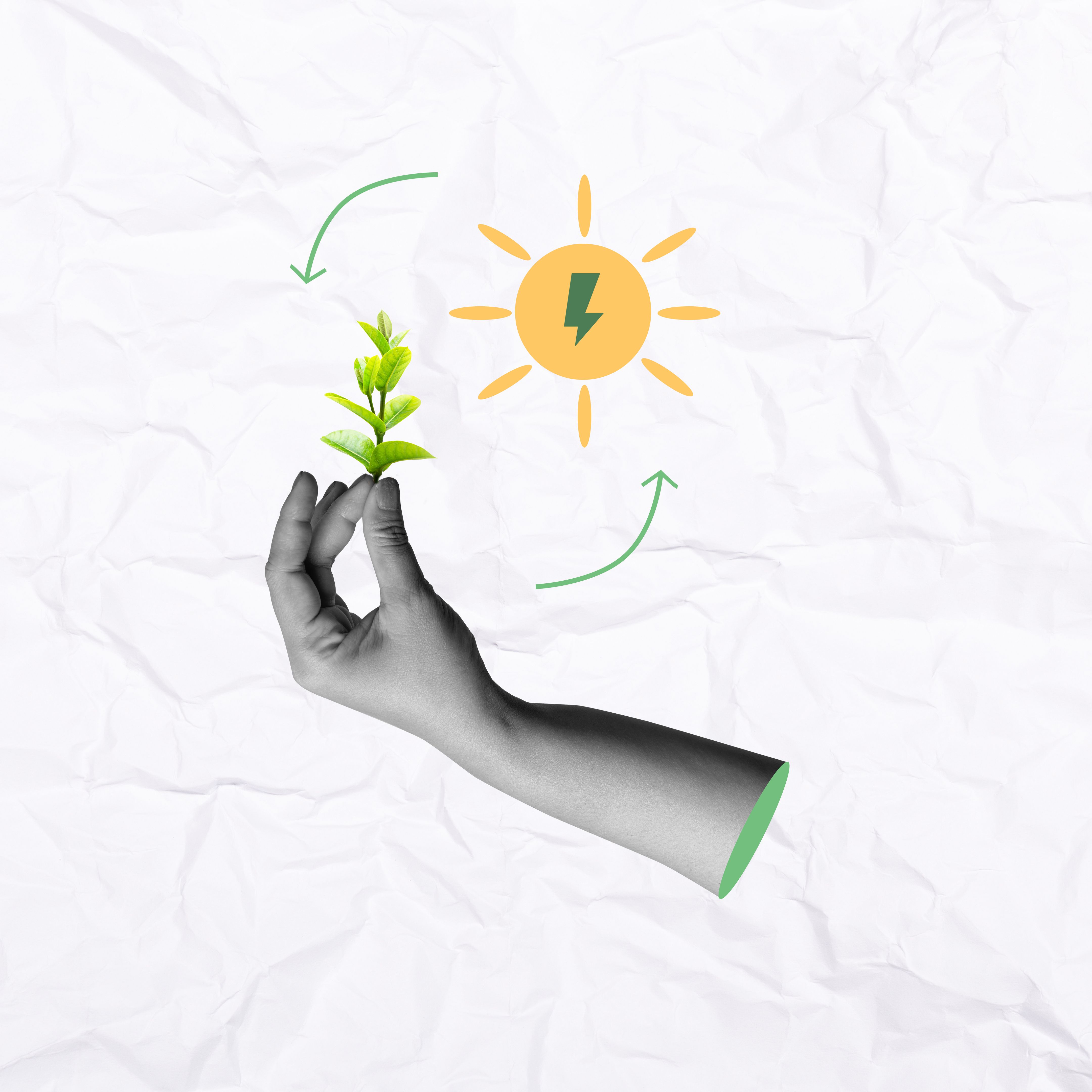 Human hand showing green plant and sun with energy sign on a colored background