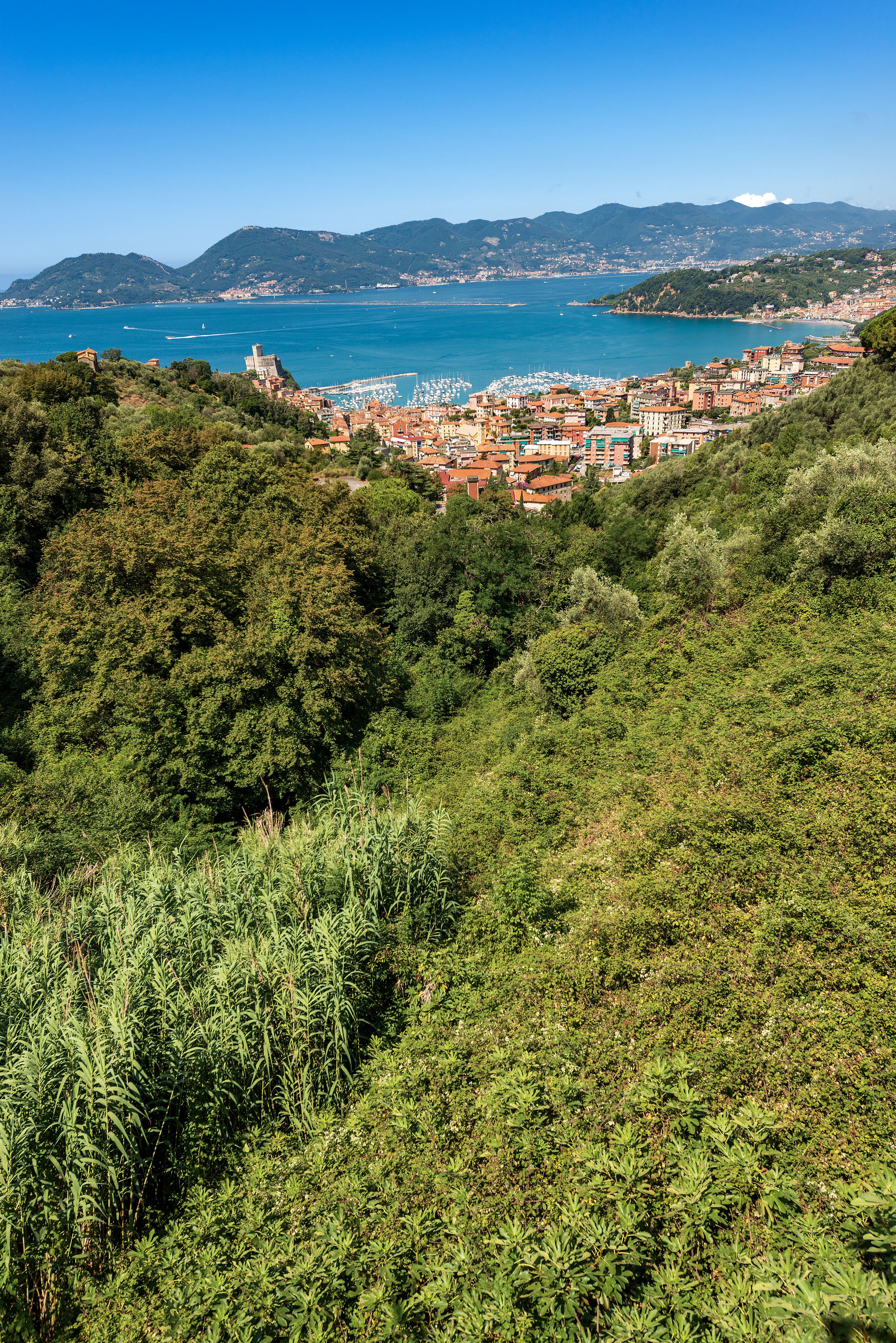lerici vineyards