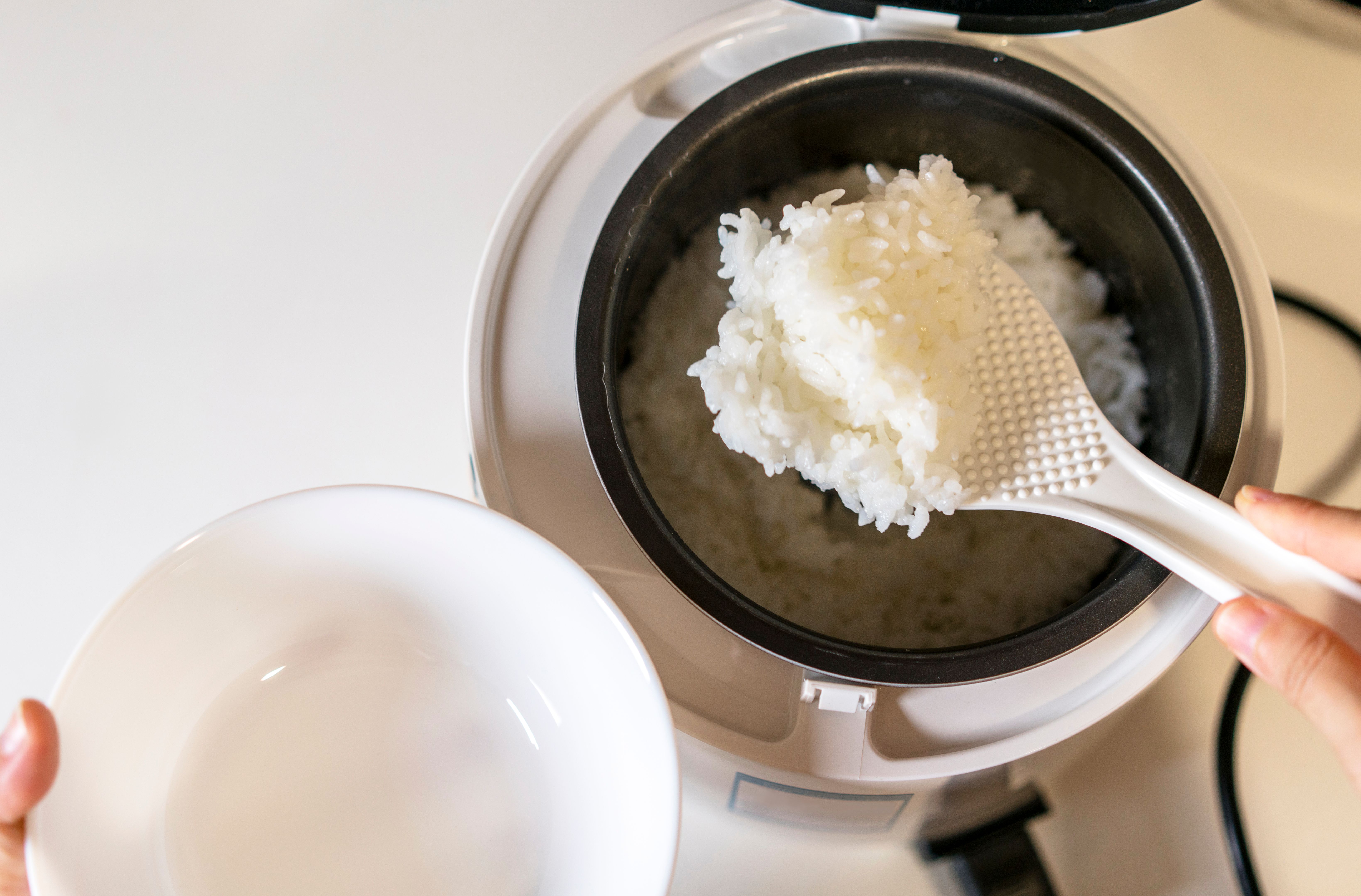 rice cooker meal