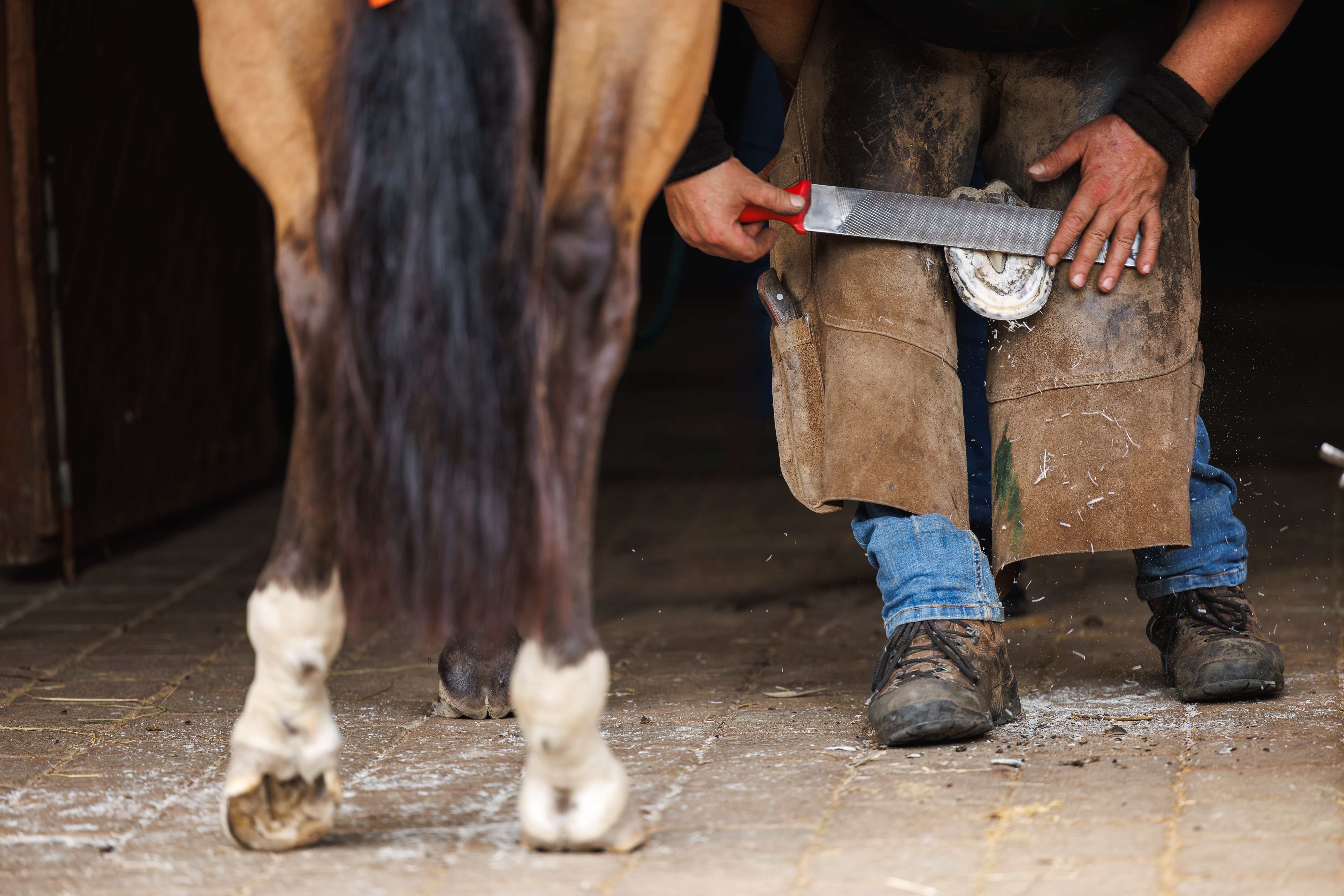 farrier working