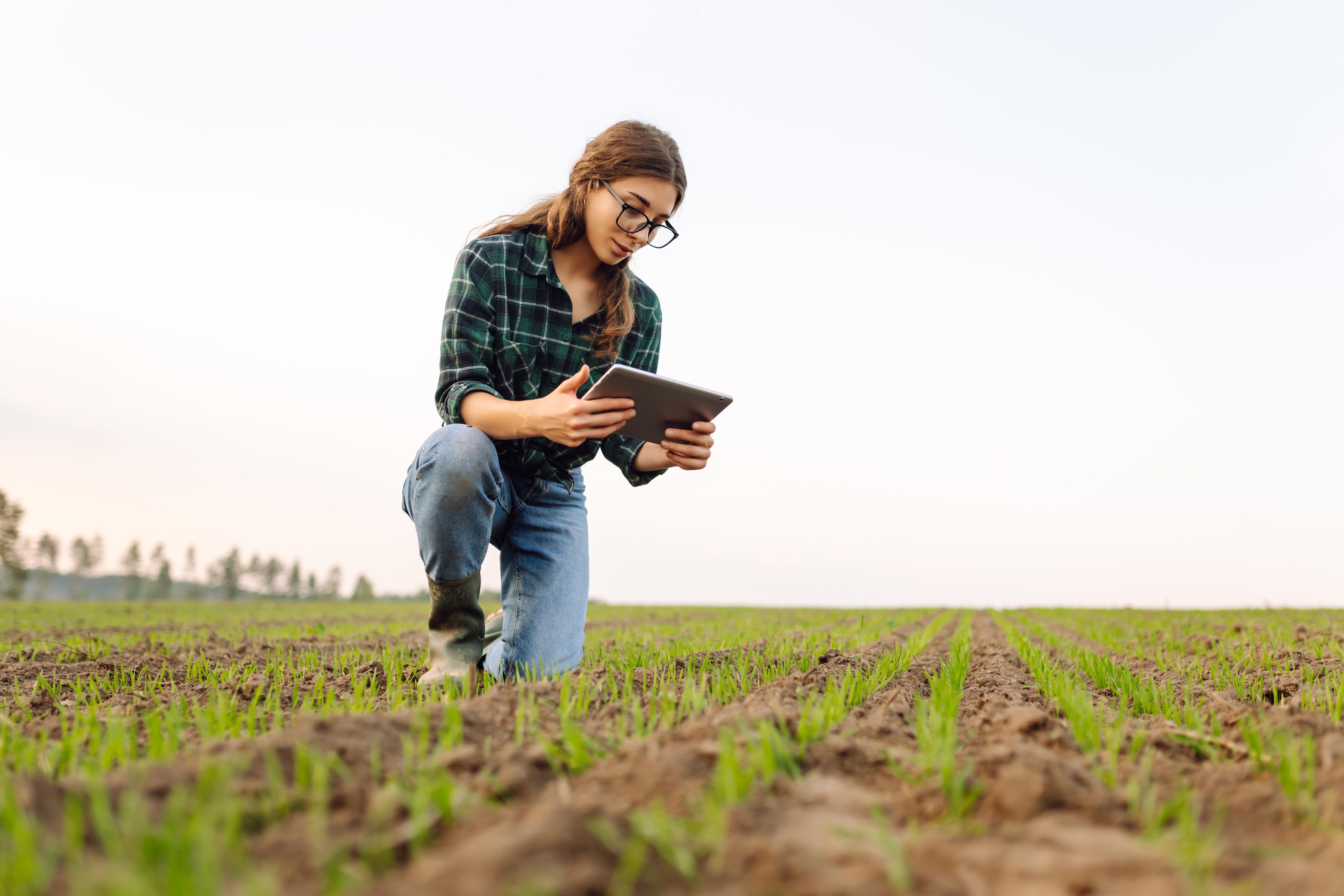 smart agriculture