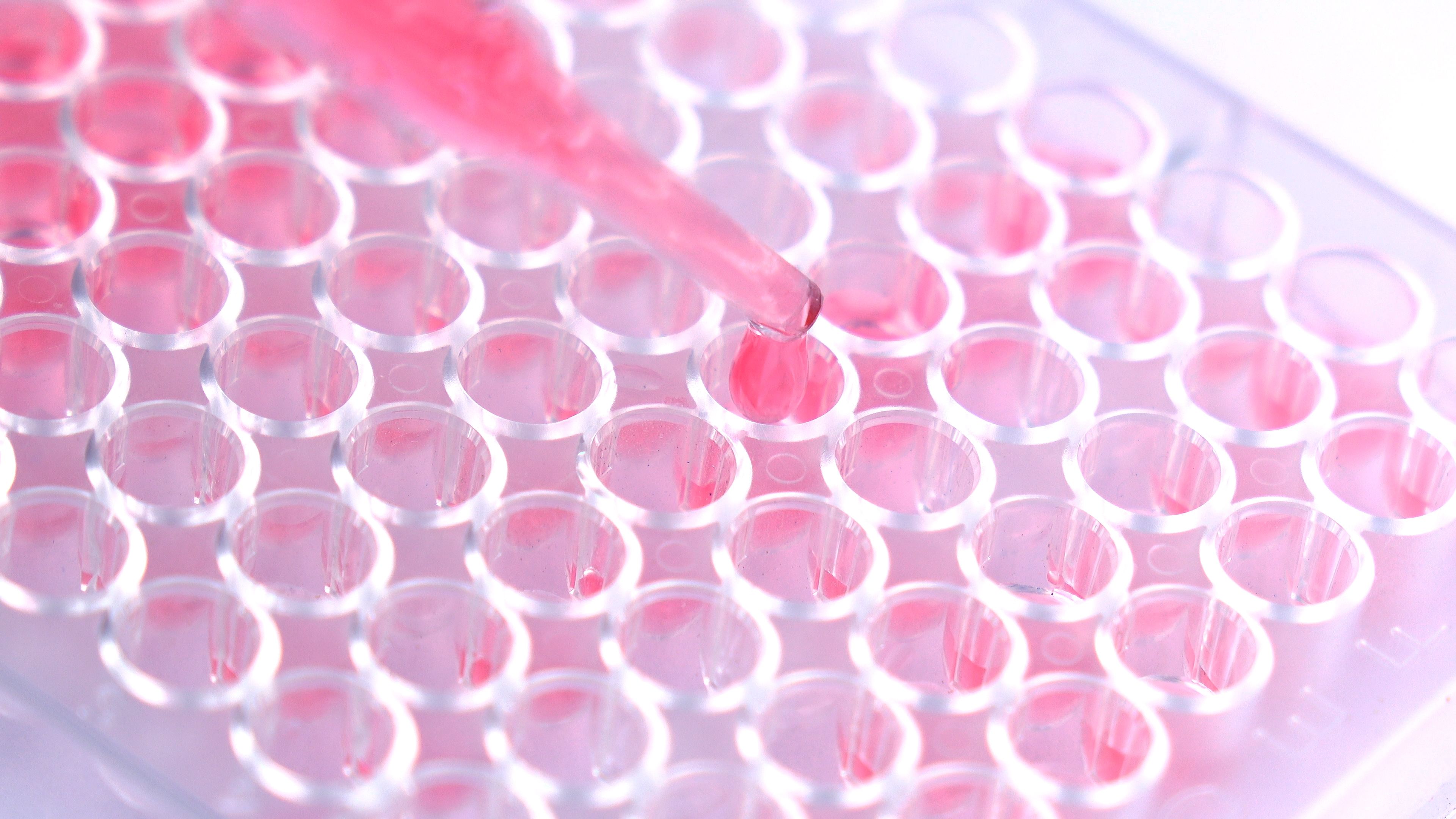 Scientist testing in laboratory. dropping chemical solution. Scientist testing in laboratory. dropping chemical solution.