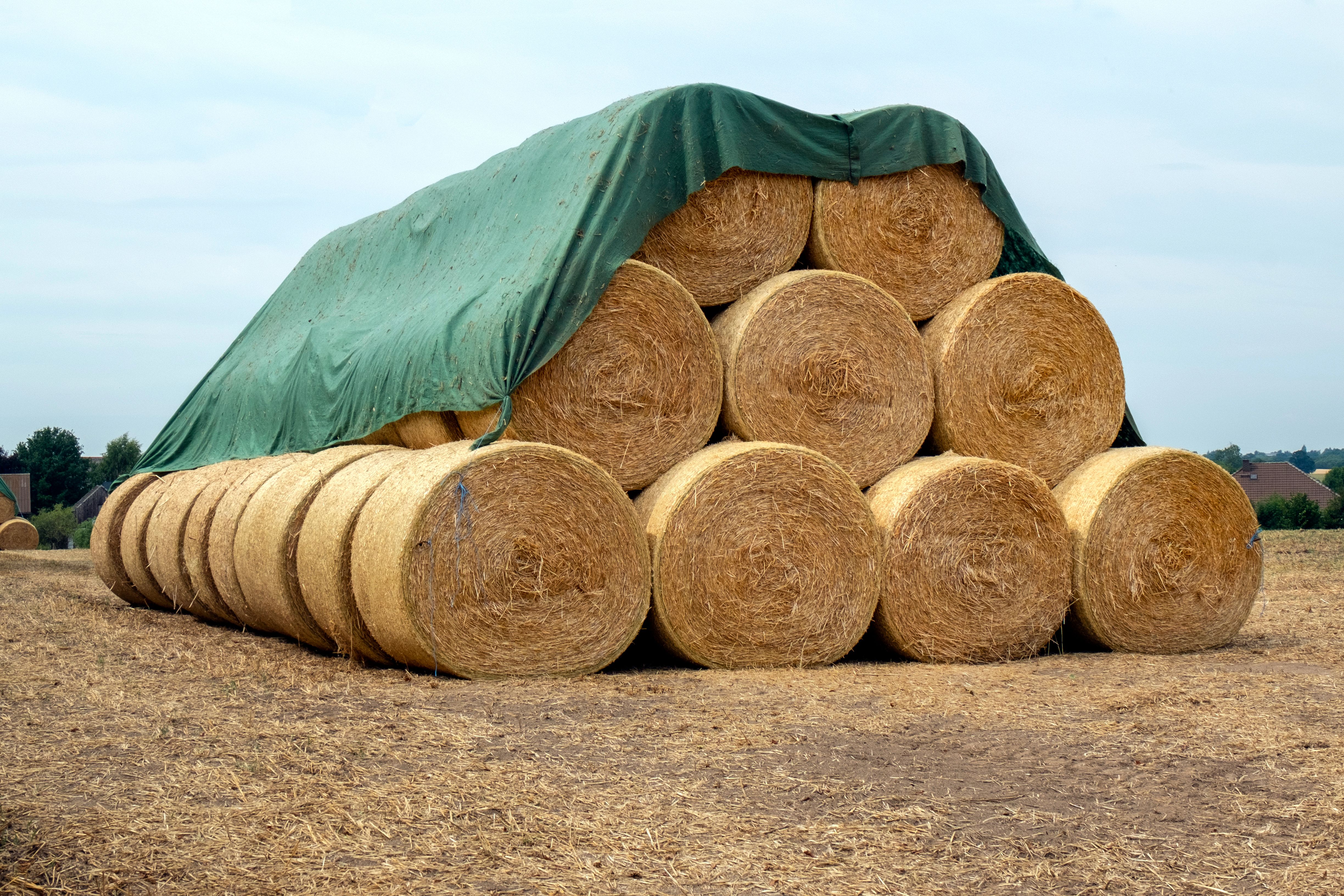 Straw bales