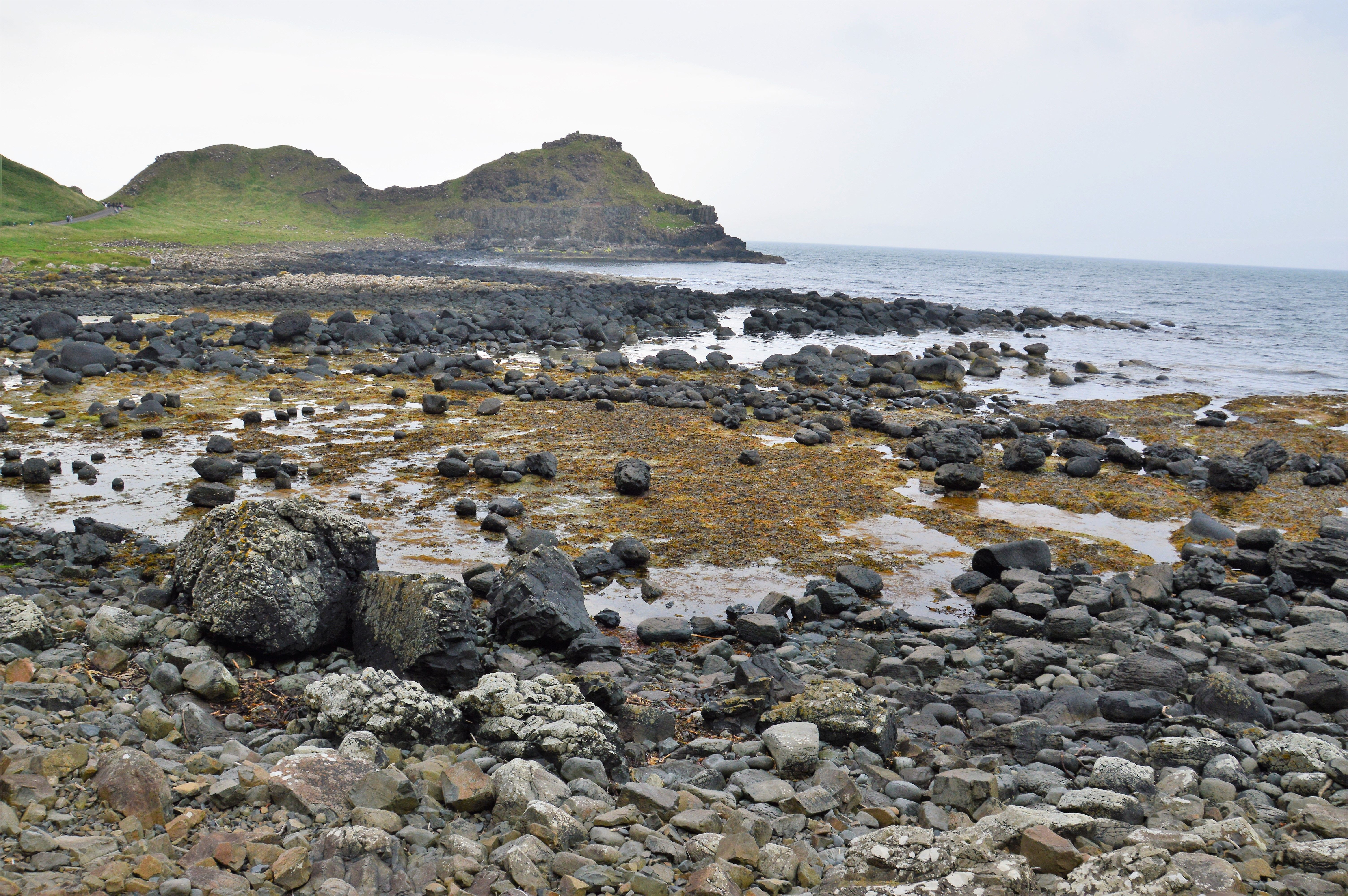 Intertidal basalt rocks and seaweed at Giant's Causeway, Bushmills, County Antrim, Northern Ireland. Intertidal basalt rocks and seaweed at Giant's Causeway, Bushmills, County Antrim, Northern Ireland.