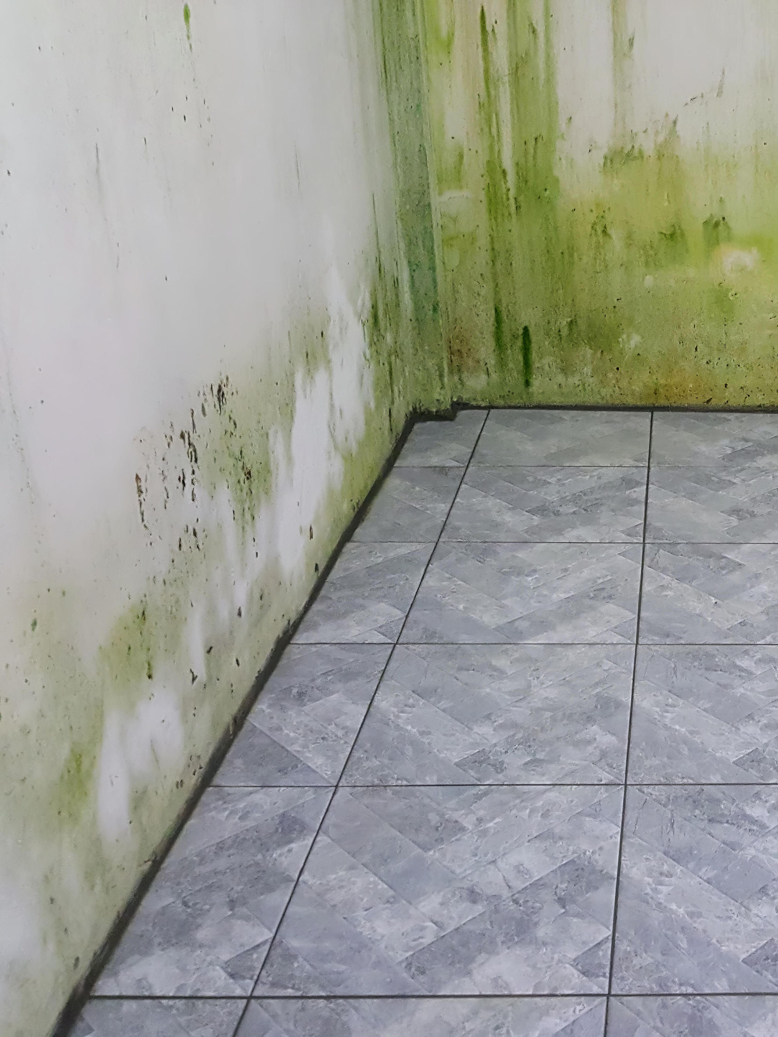 infiltração parede