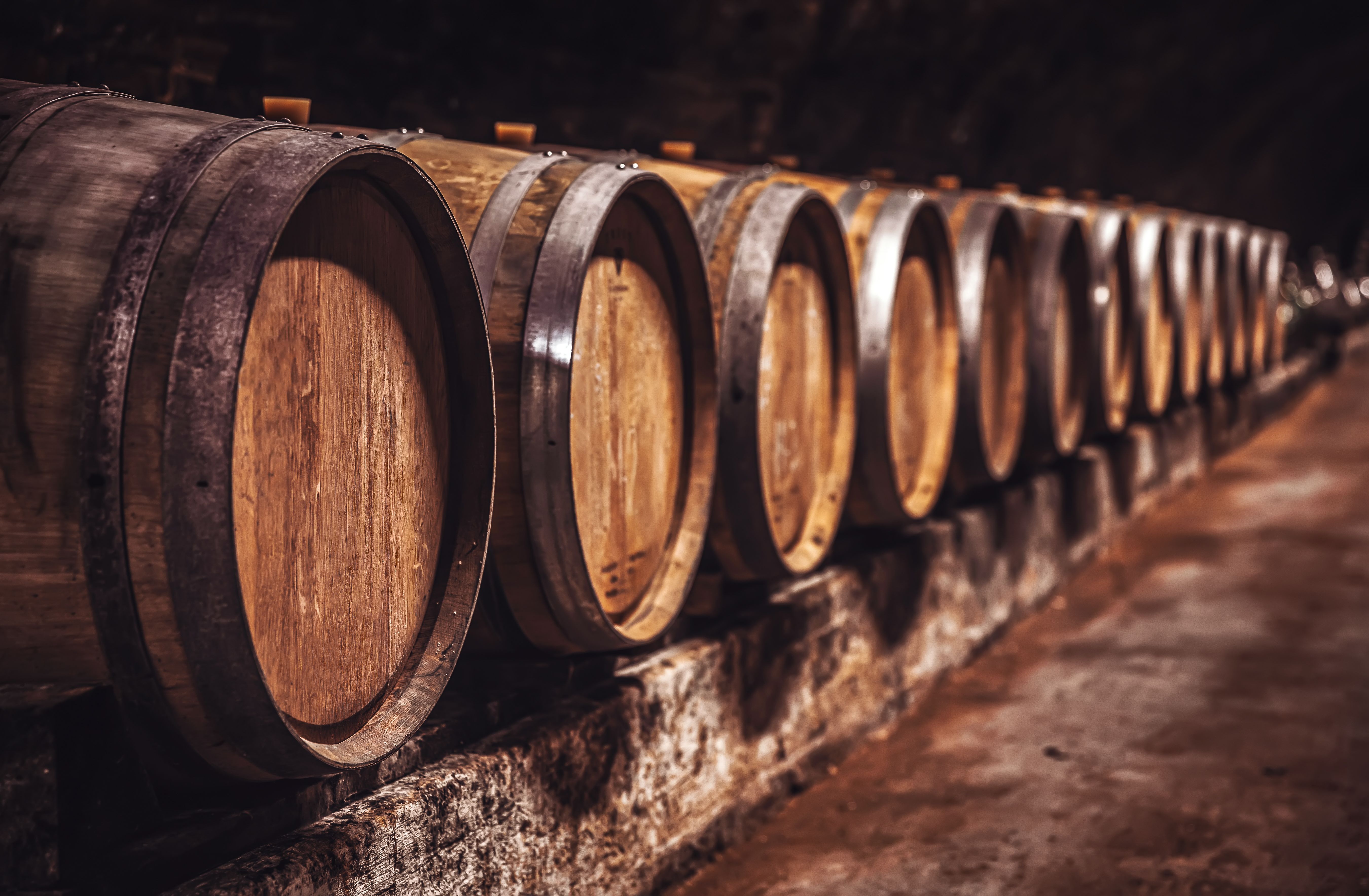 oak barrels wine
