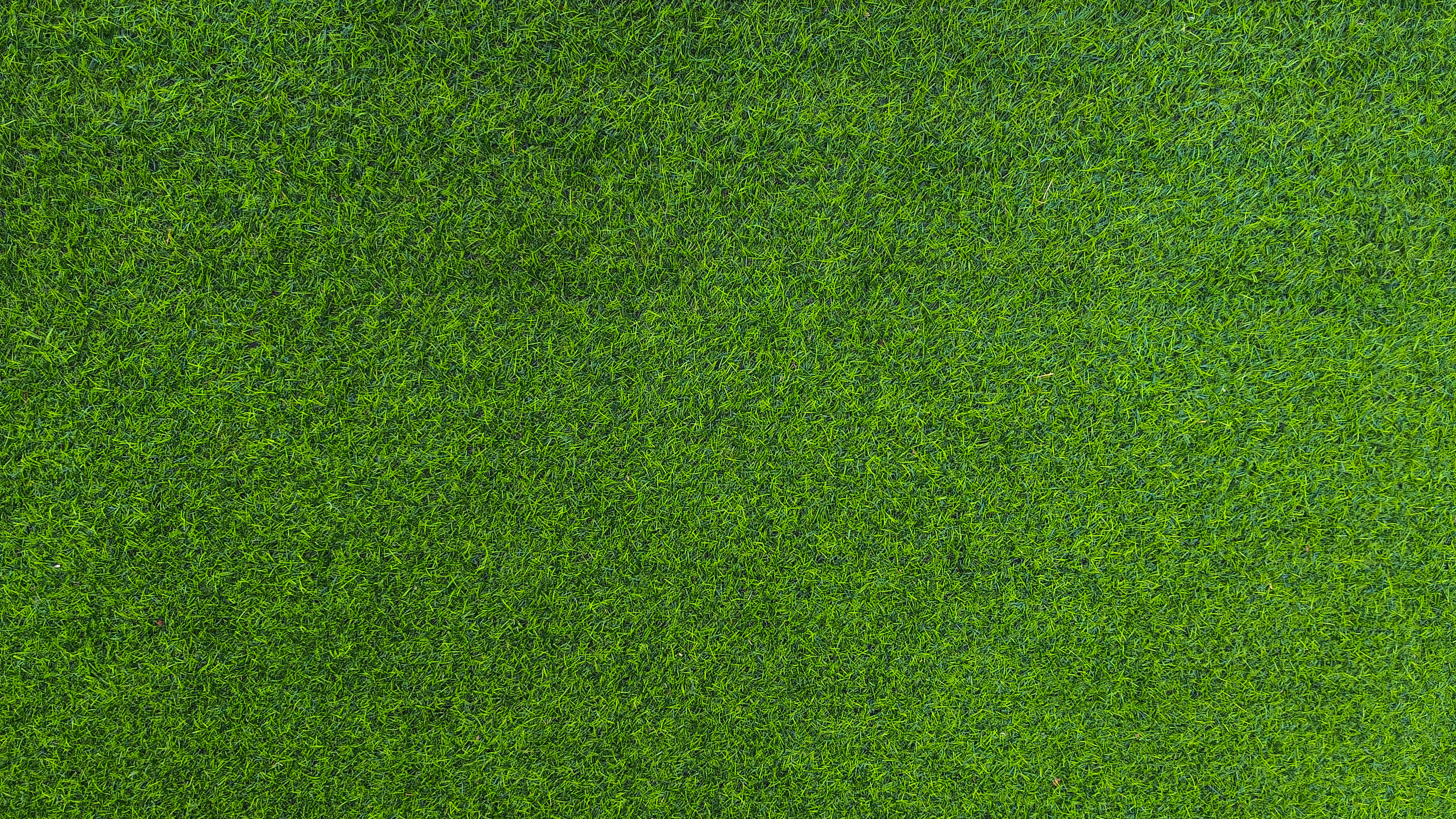 green lawn
