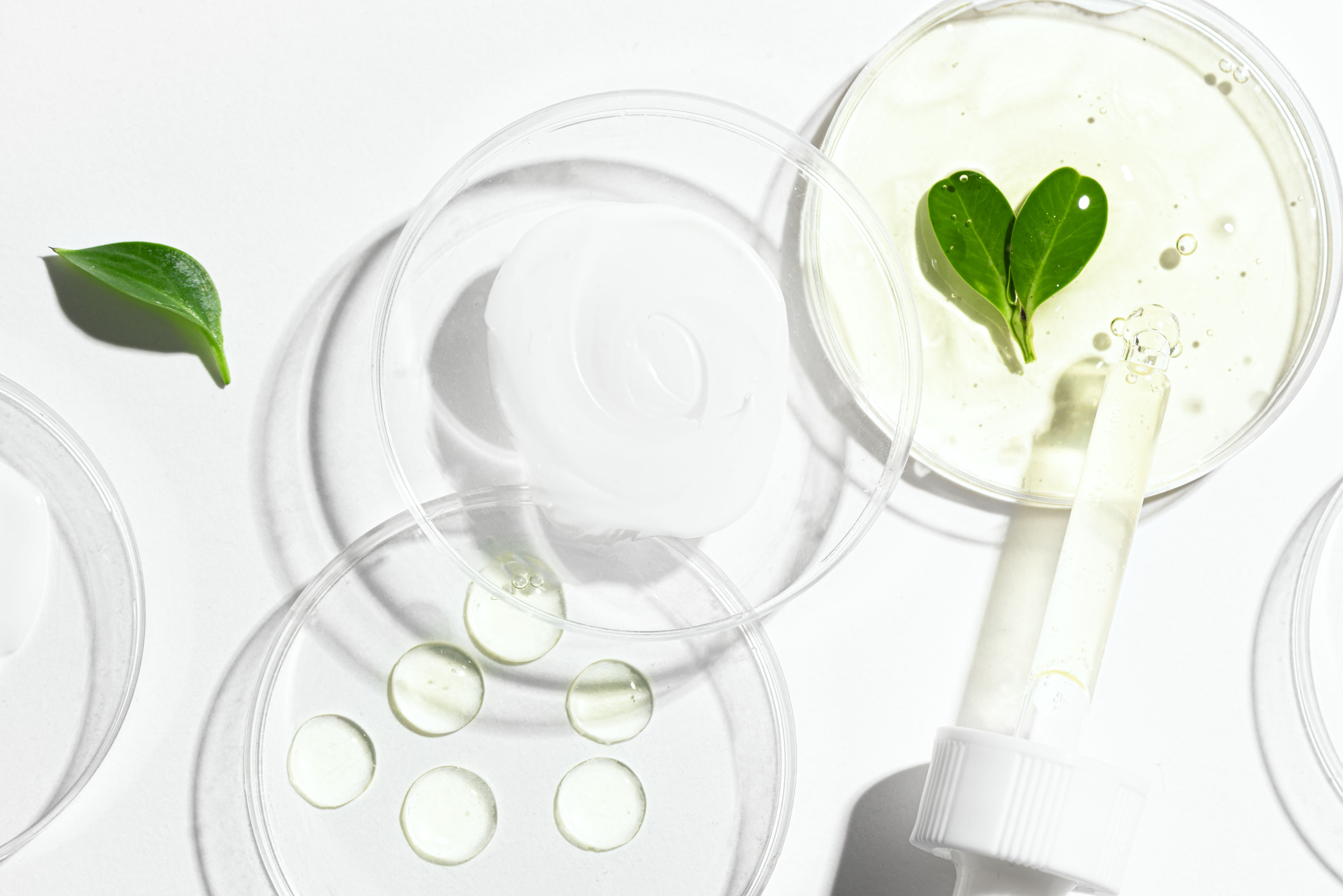 natural skincare ingredients