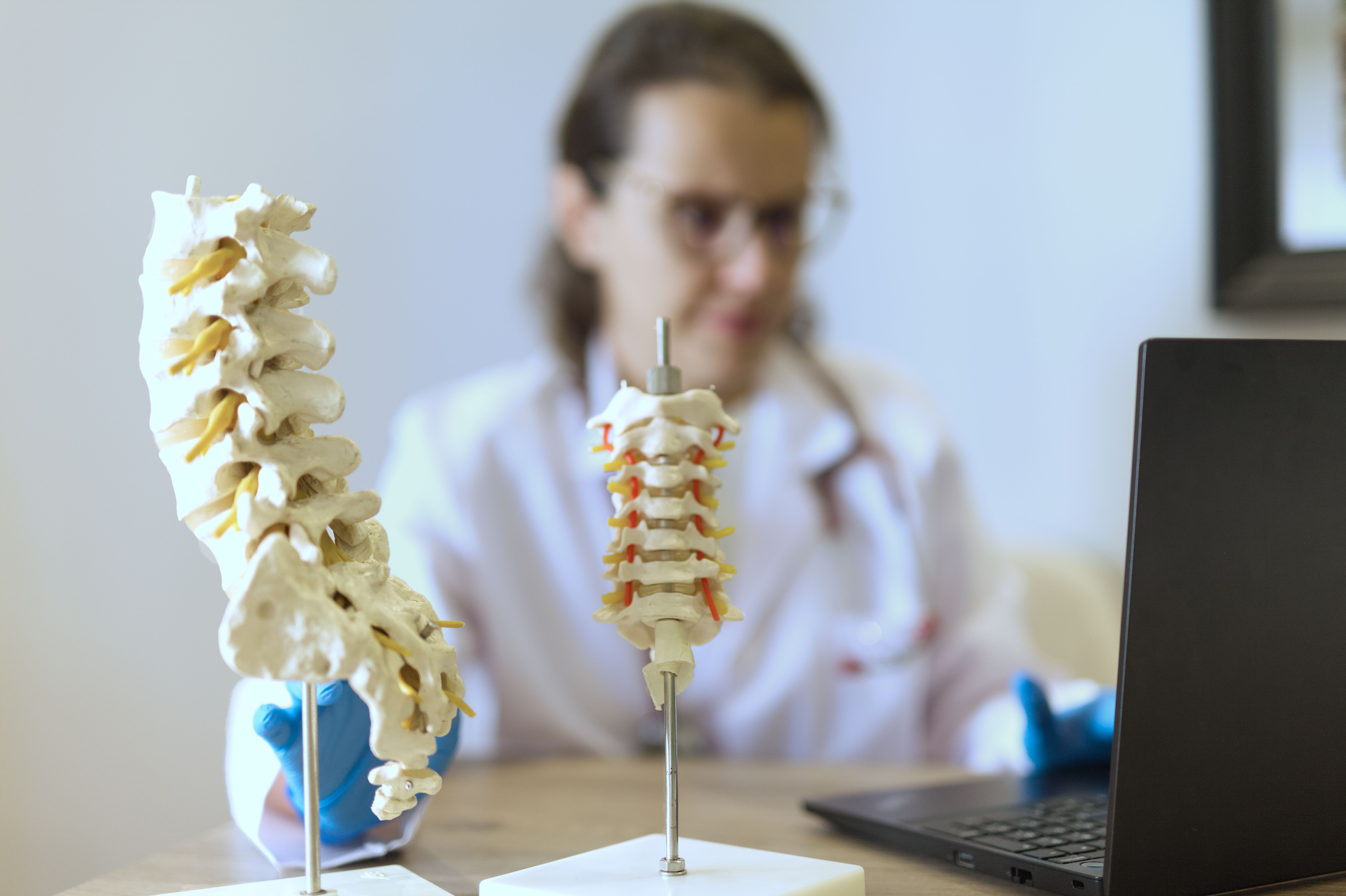 Eine weibliche Neurologin, die an ihrem Laptop mit Wirbelsäulenmodellen arbeitet.