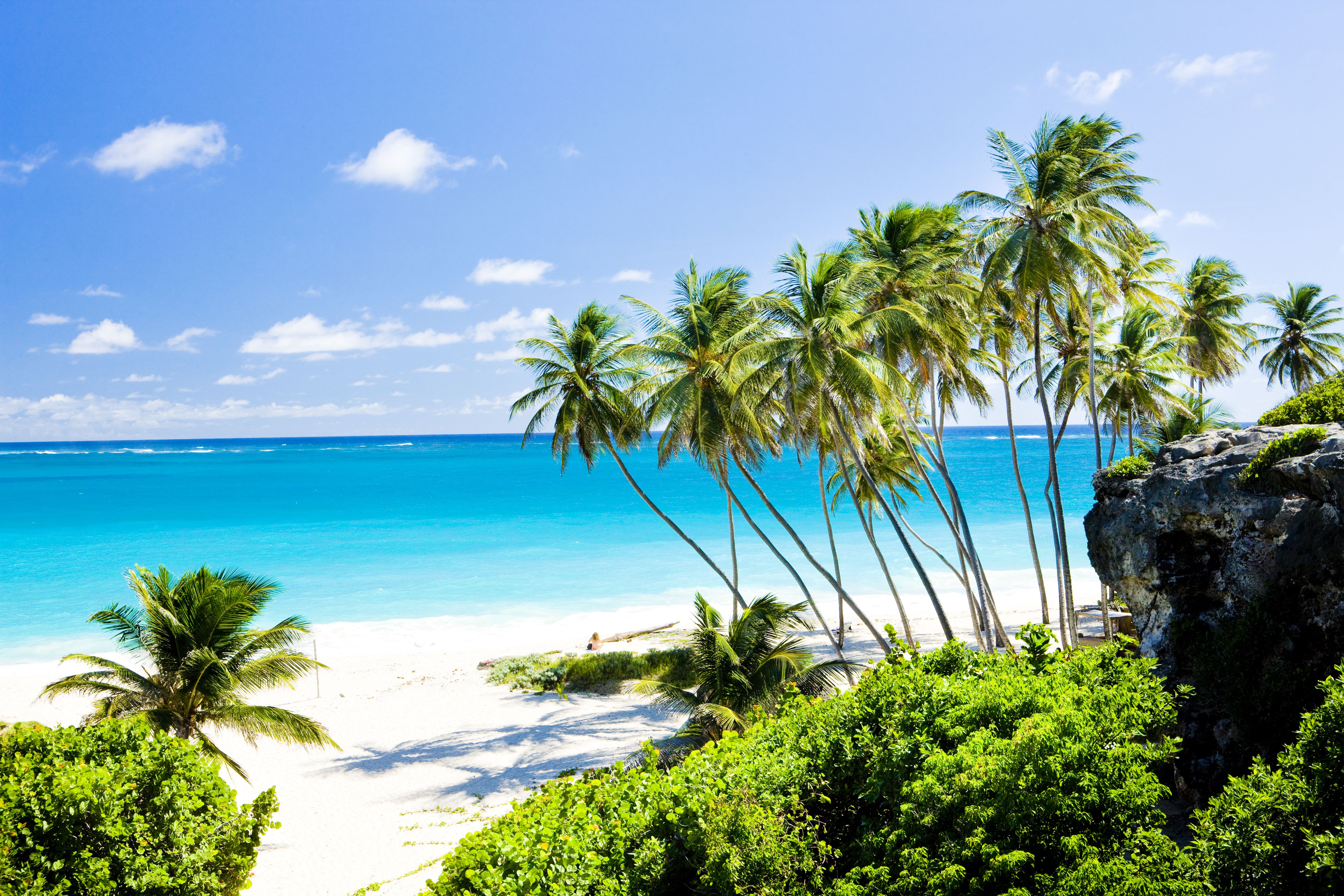 Barbados landscape