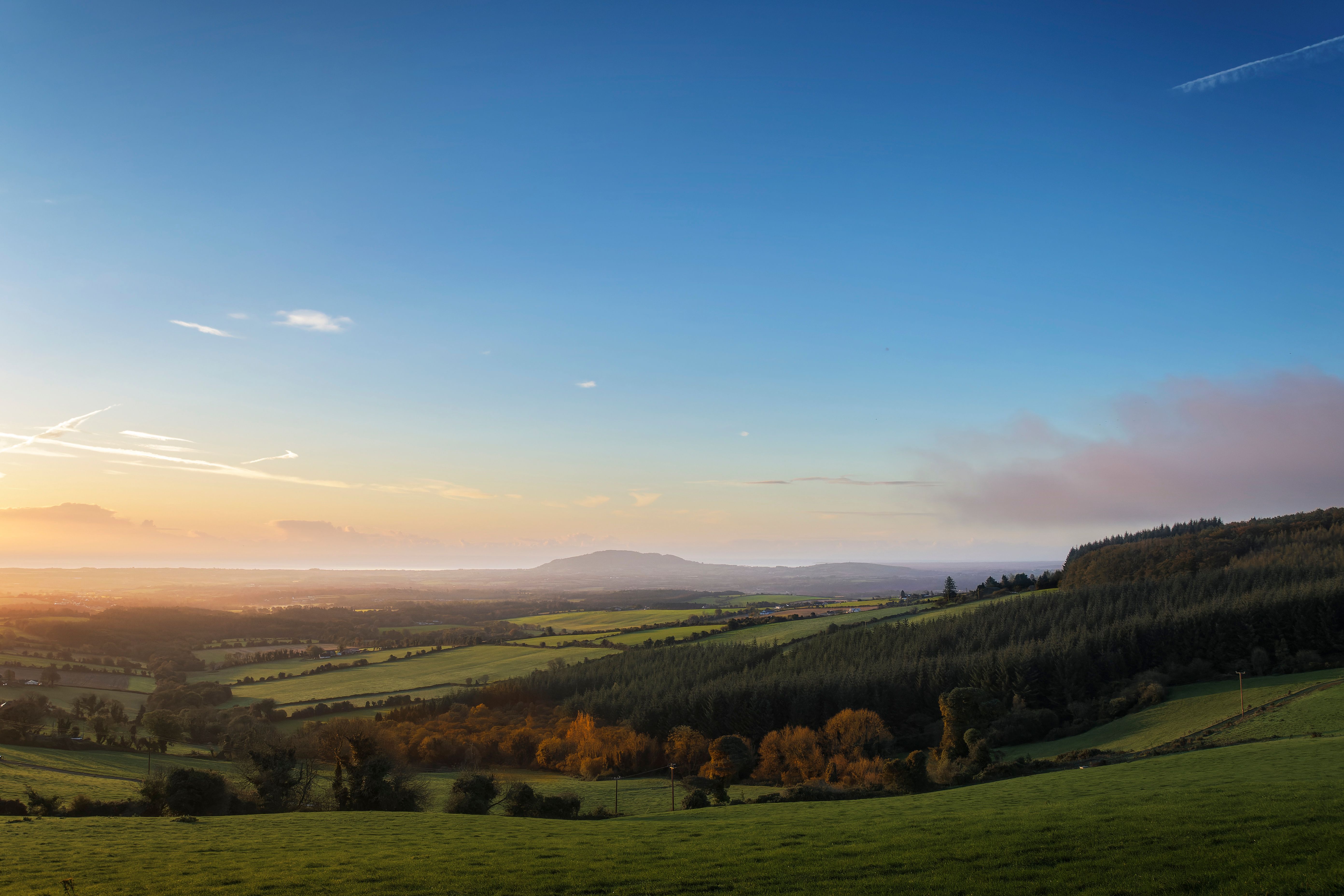 Golden morning light over rural fields and conifer woods in the Wicklow uplands, Ireland, autumn landscape.