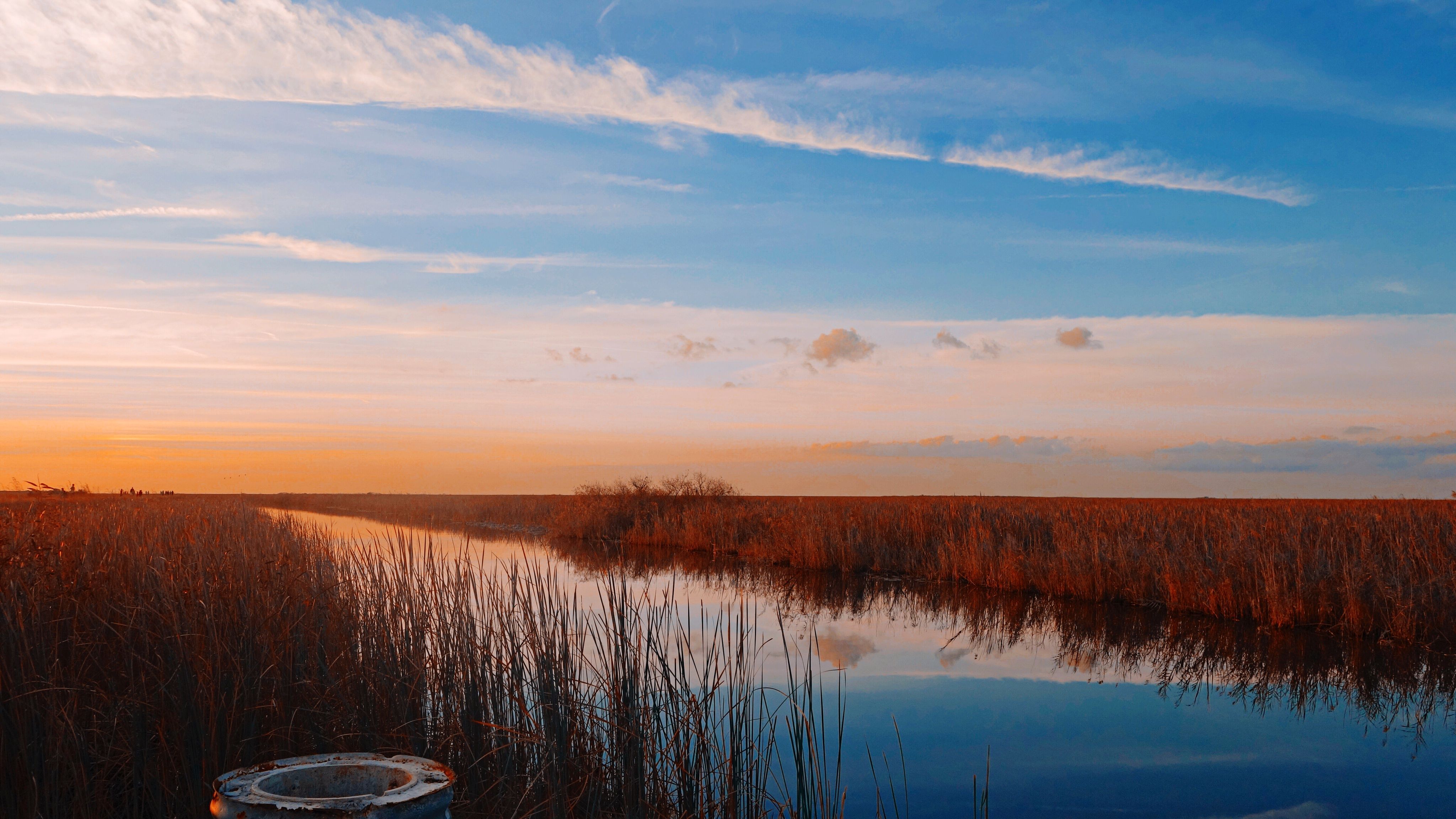 coral springs beauty