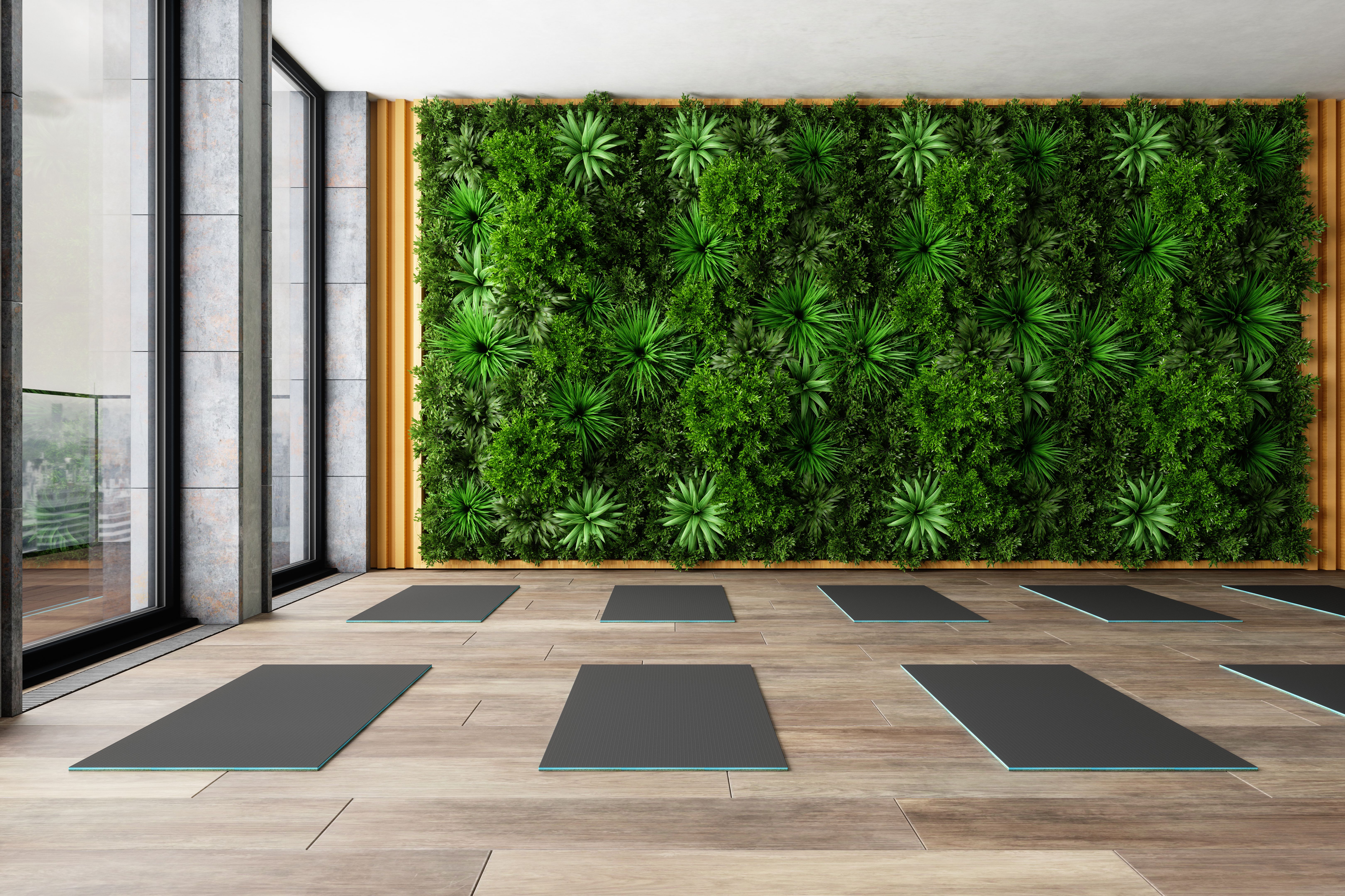 eco-friendly practices