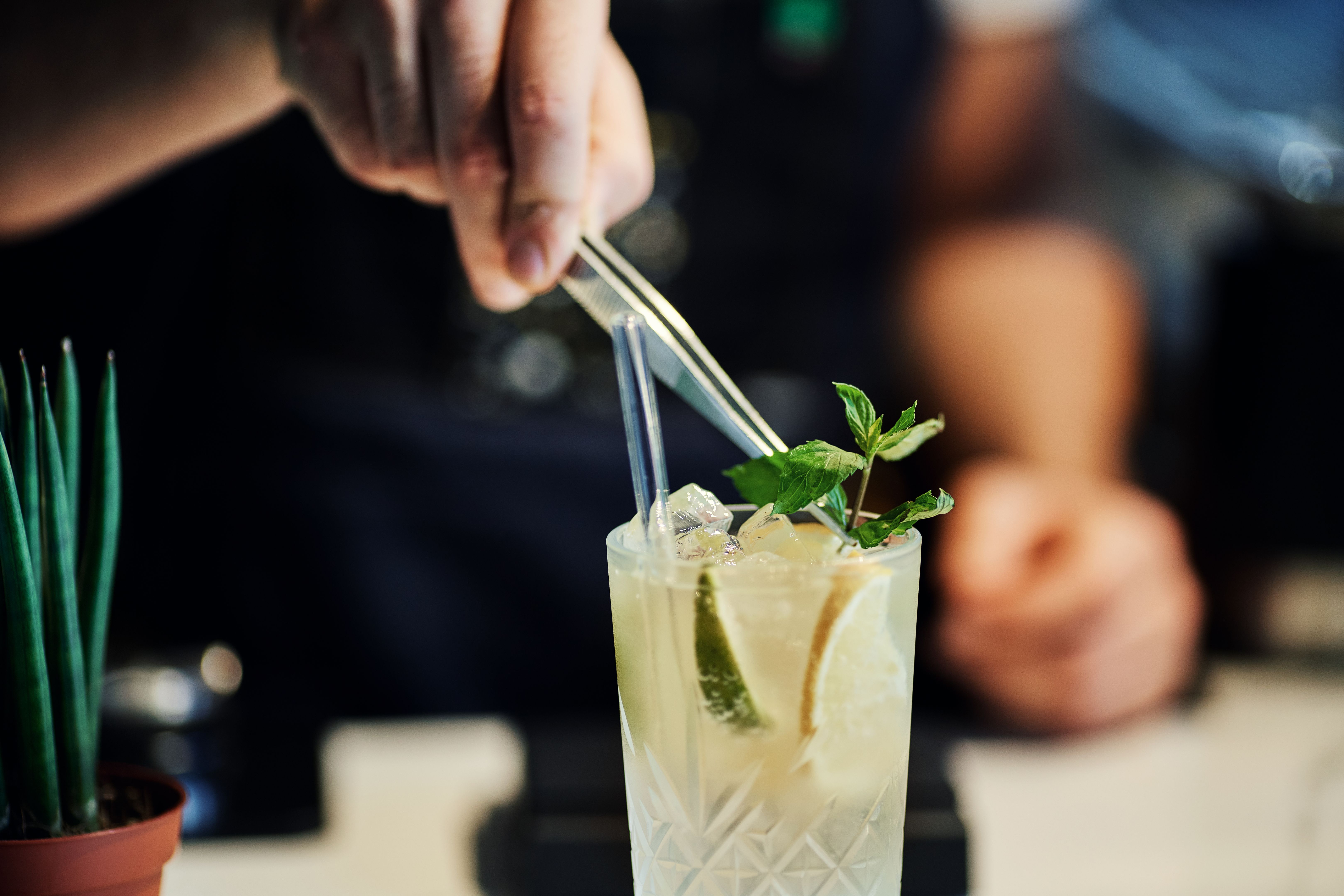 mint garnish