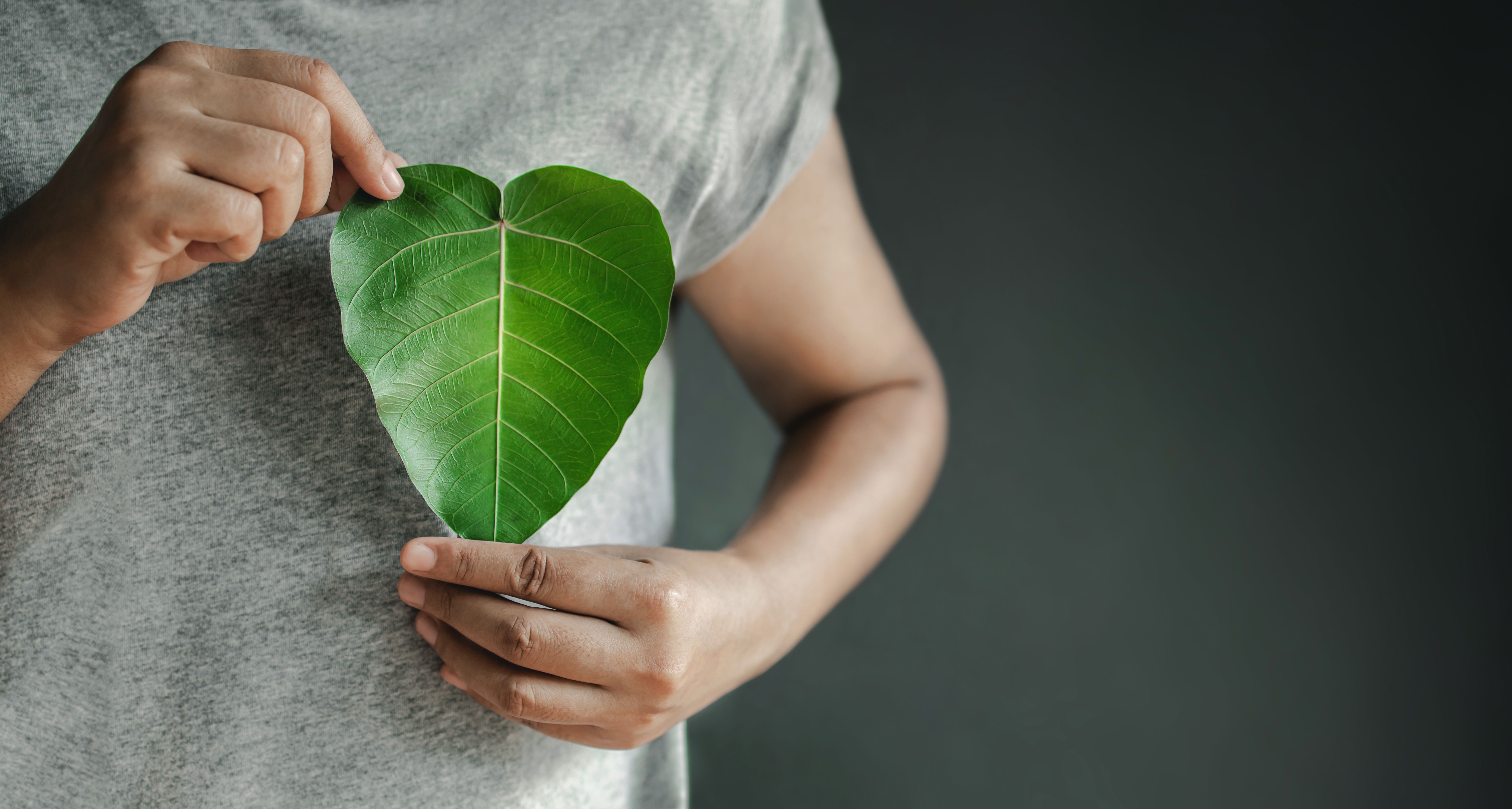 eco friendly care