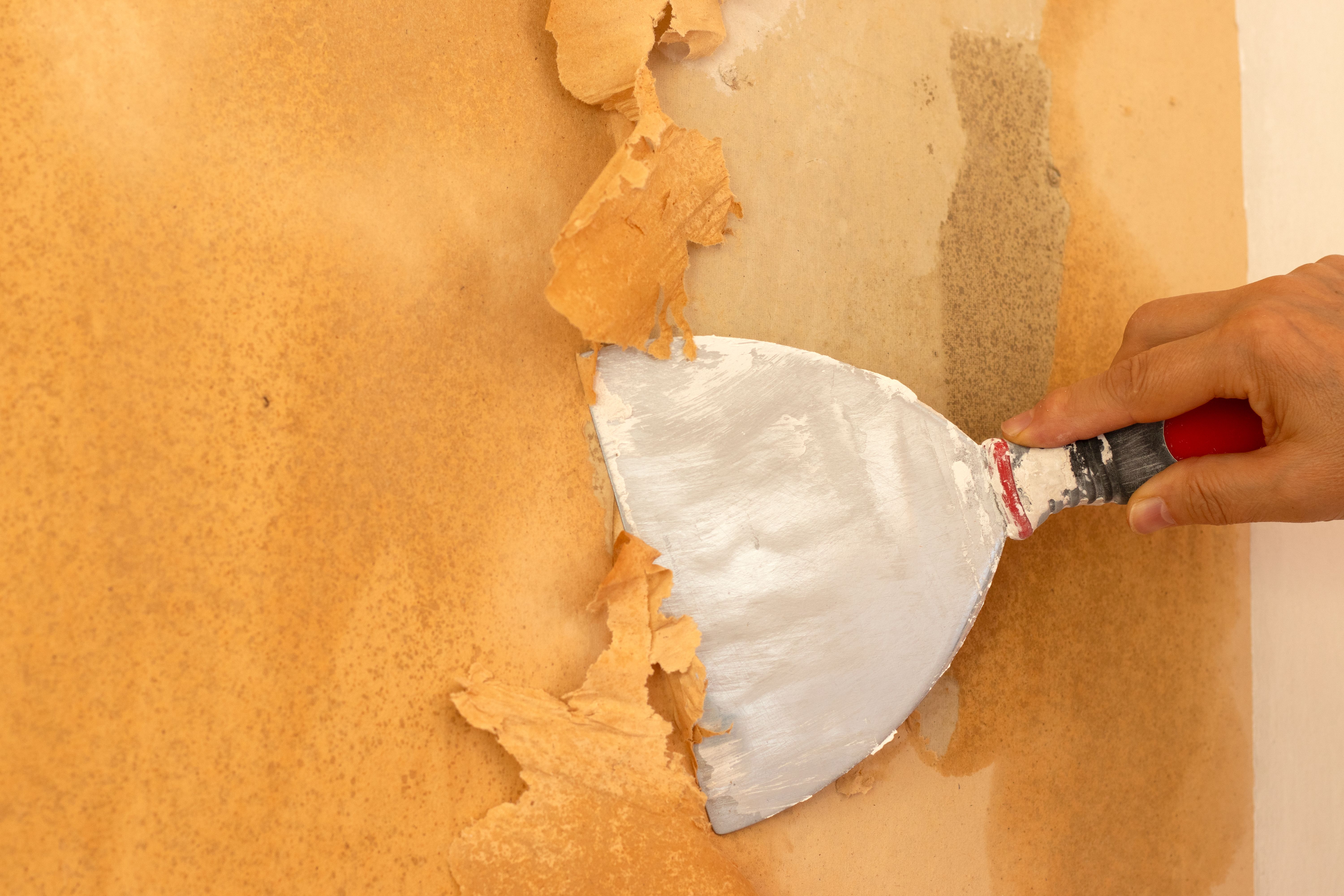 wallpaper removal tools