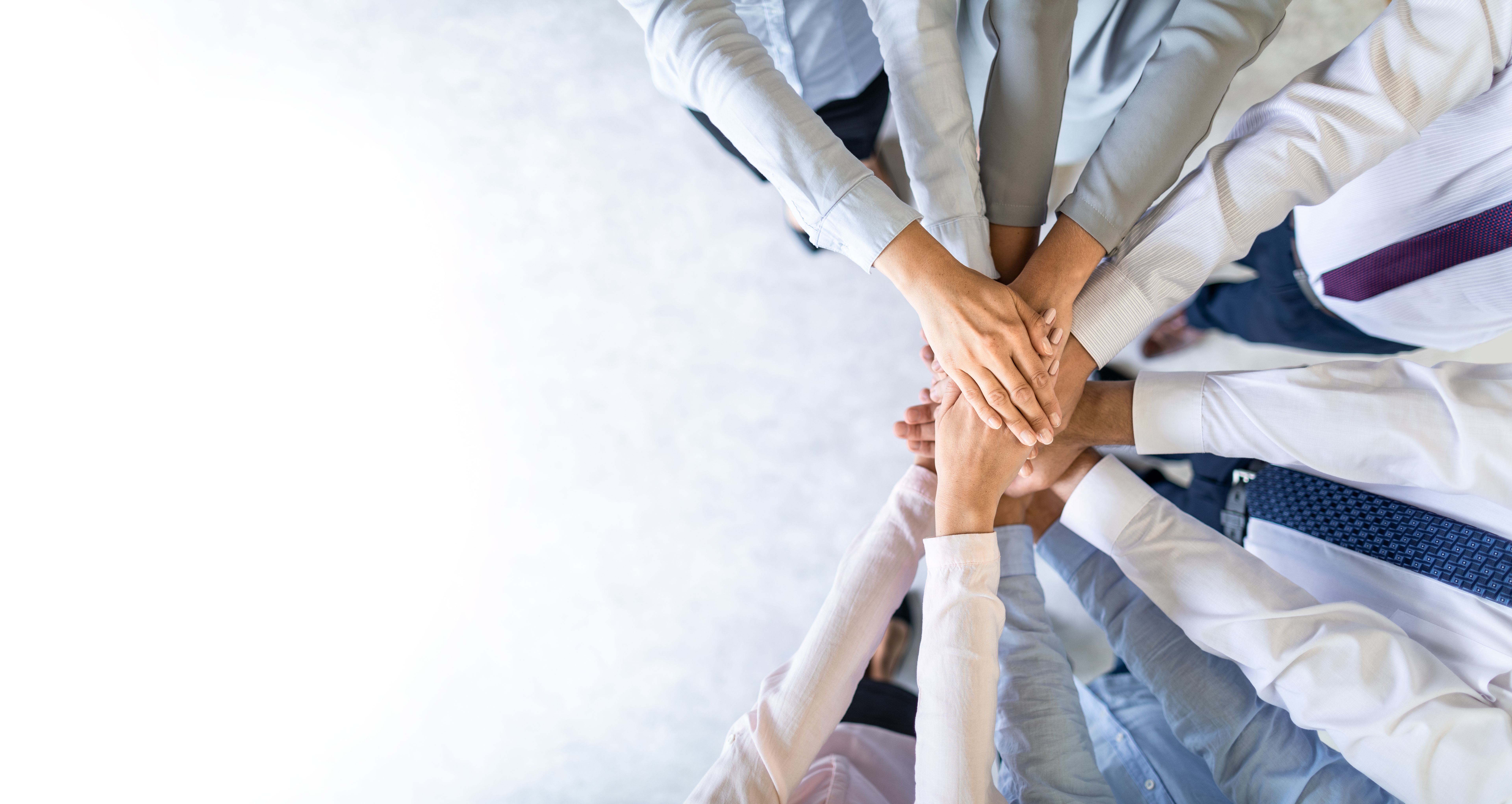 successful partnership