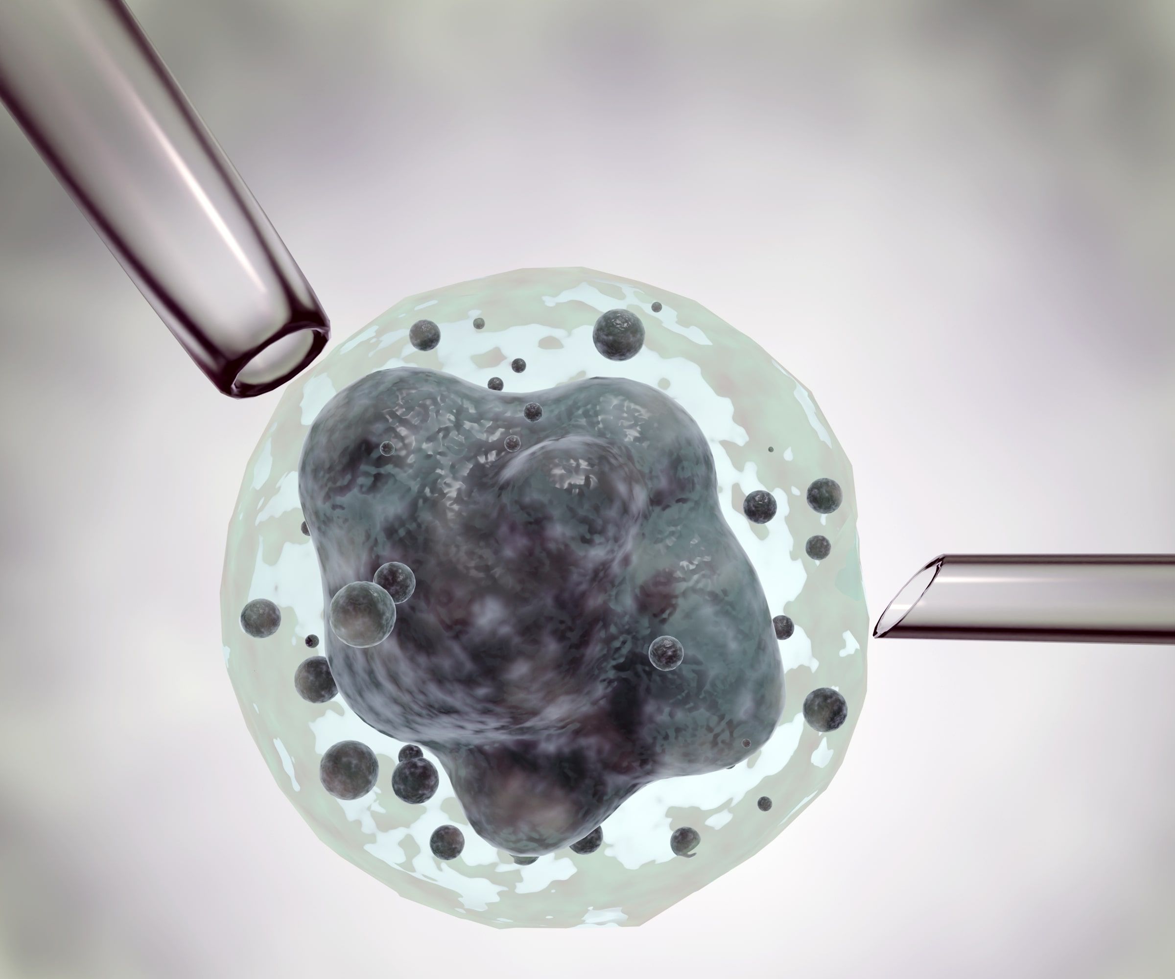 reumatologia inovação