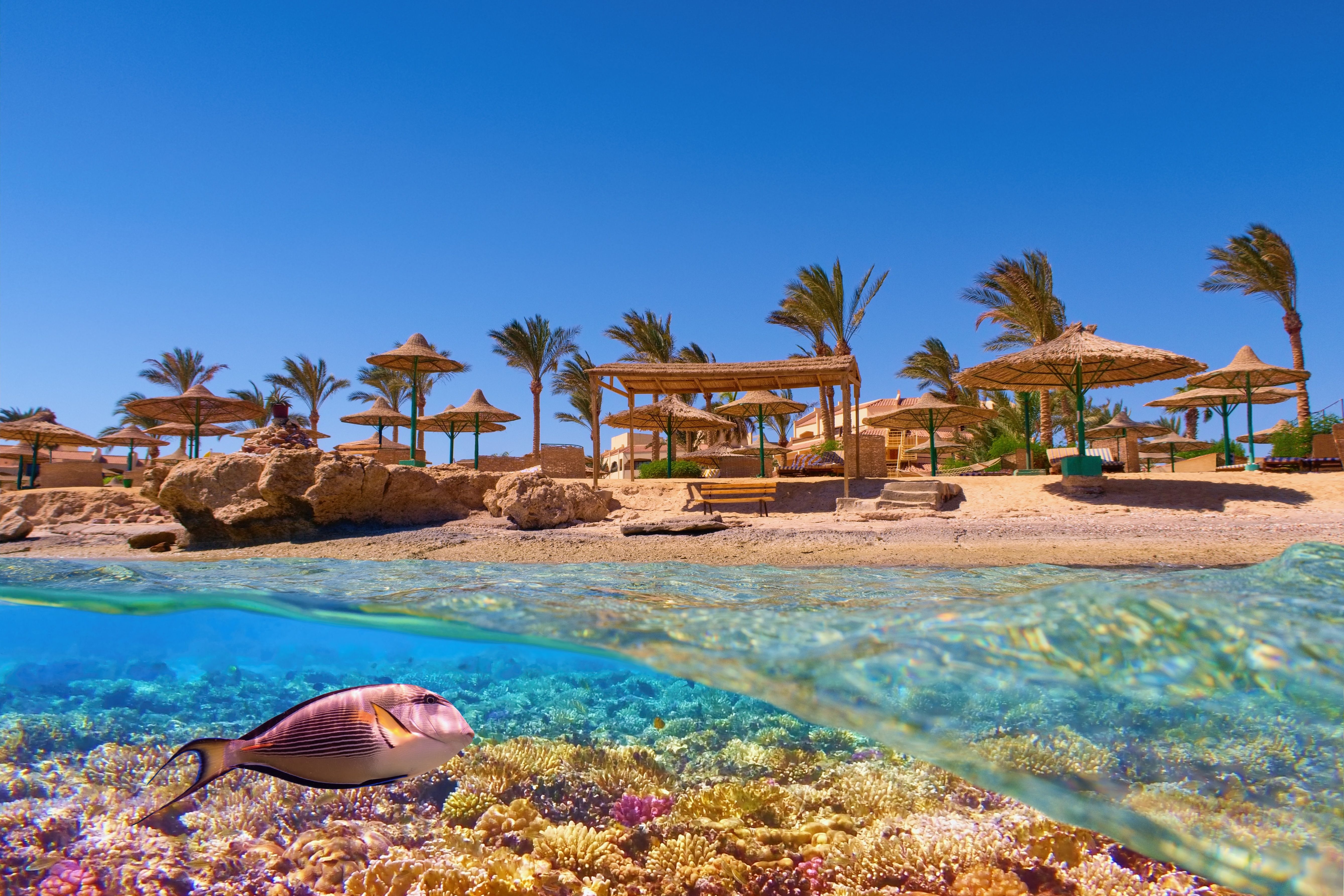hurghada snorkeling