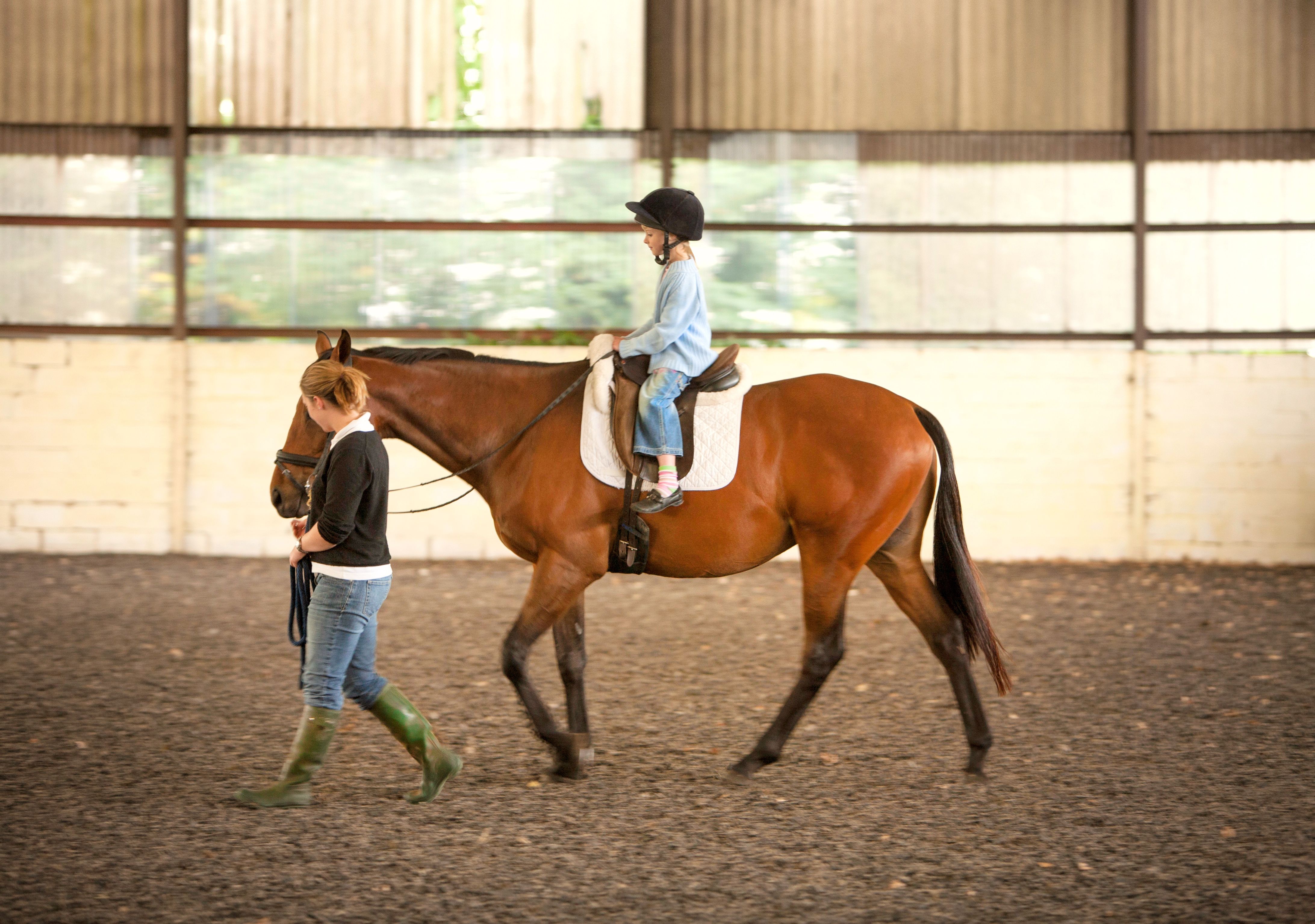 horse riding lesson