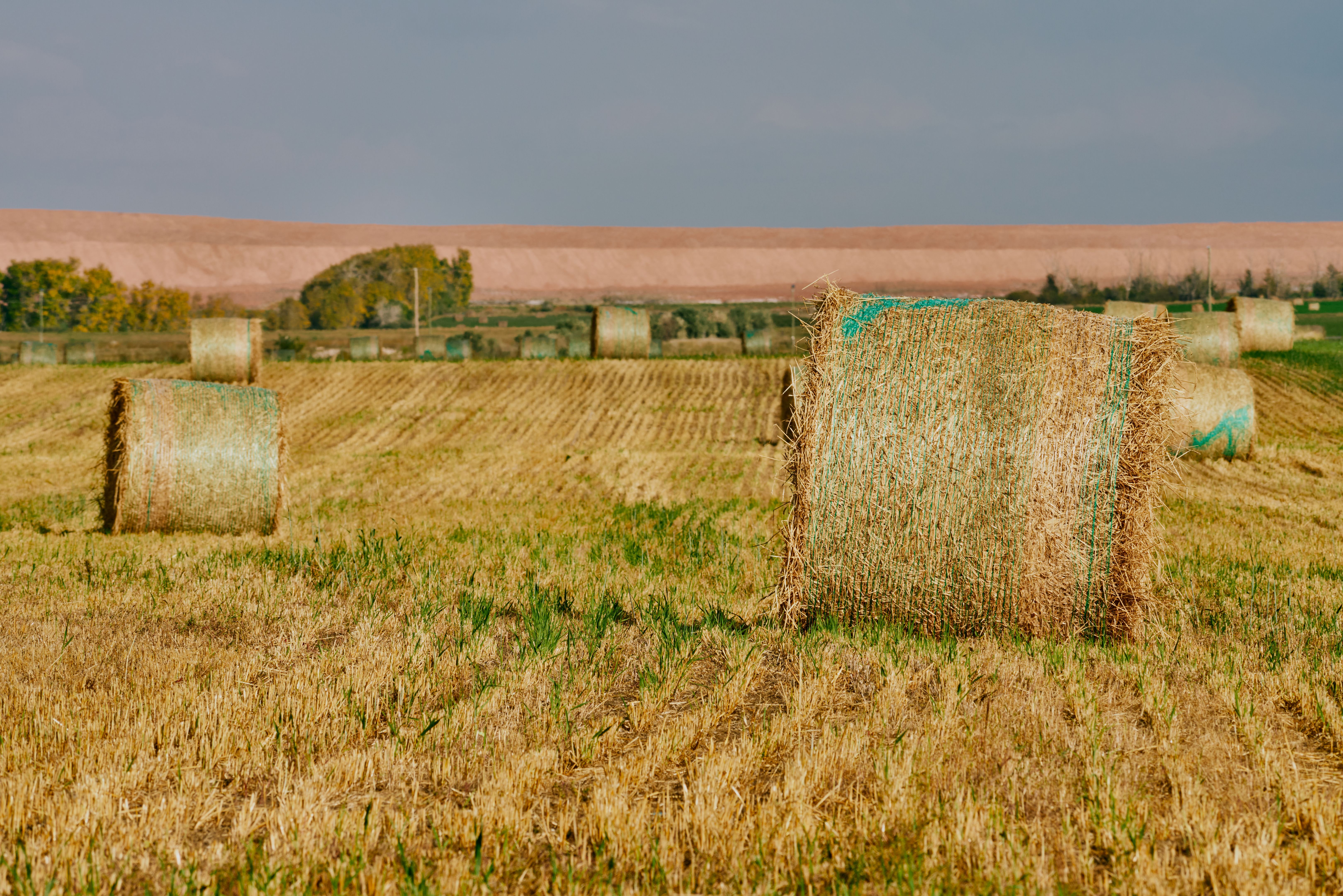 hay bales