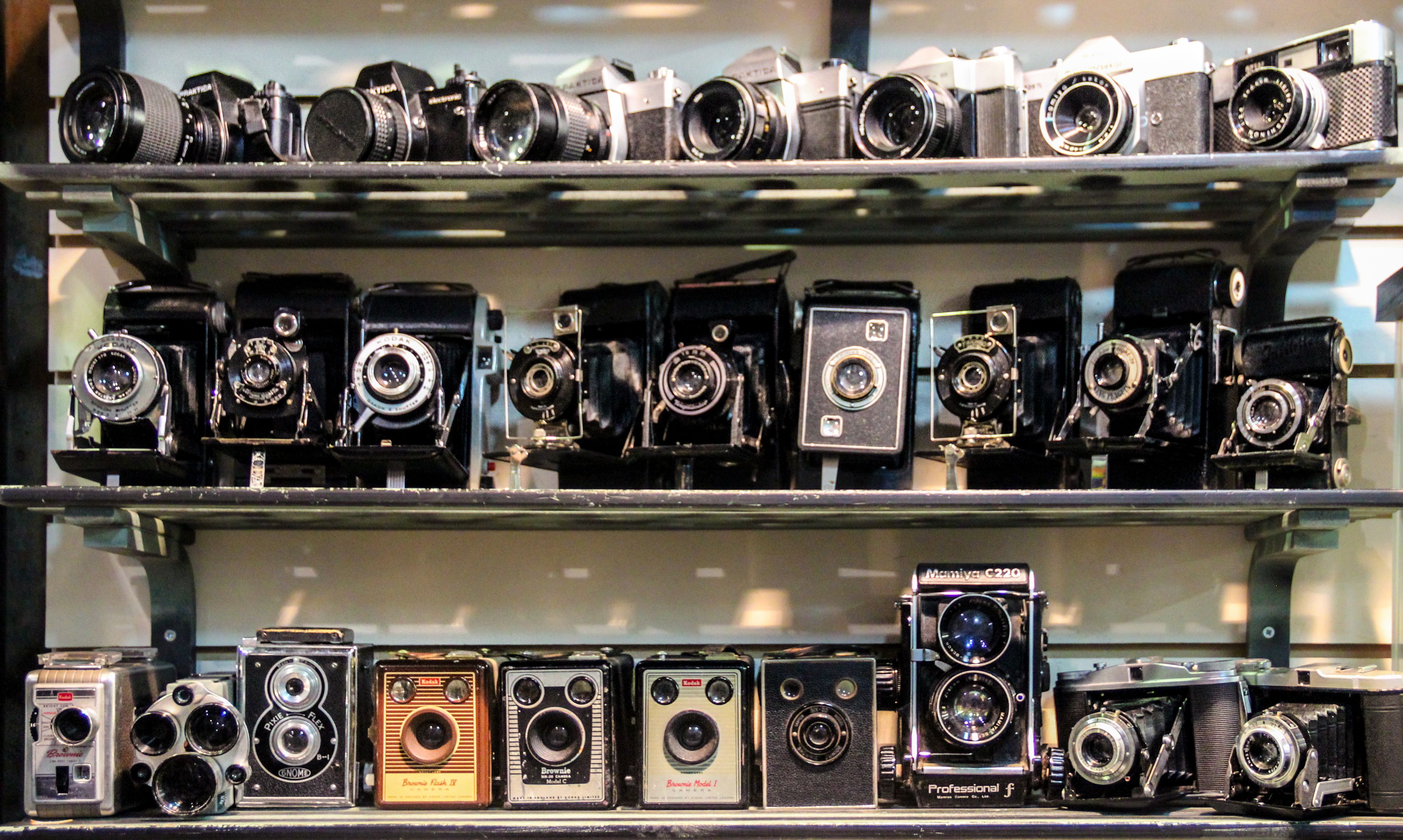 vintage camera collection