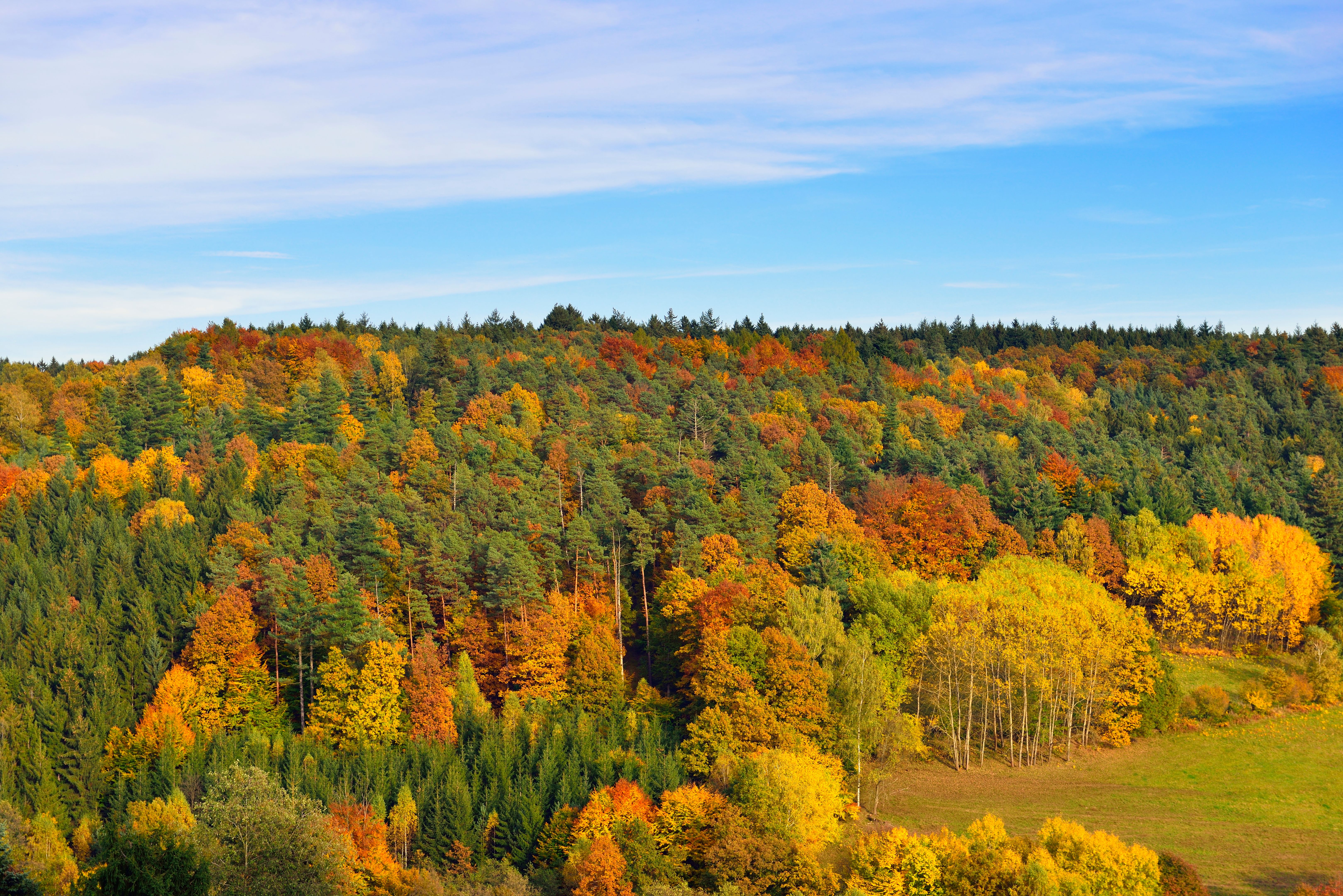 odenwald landscape