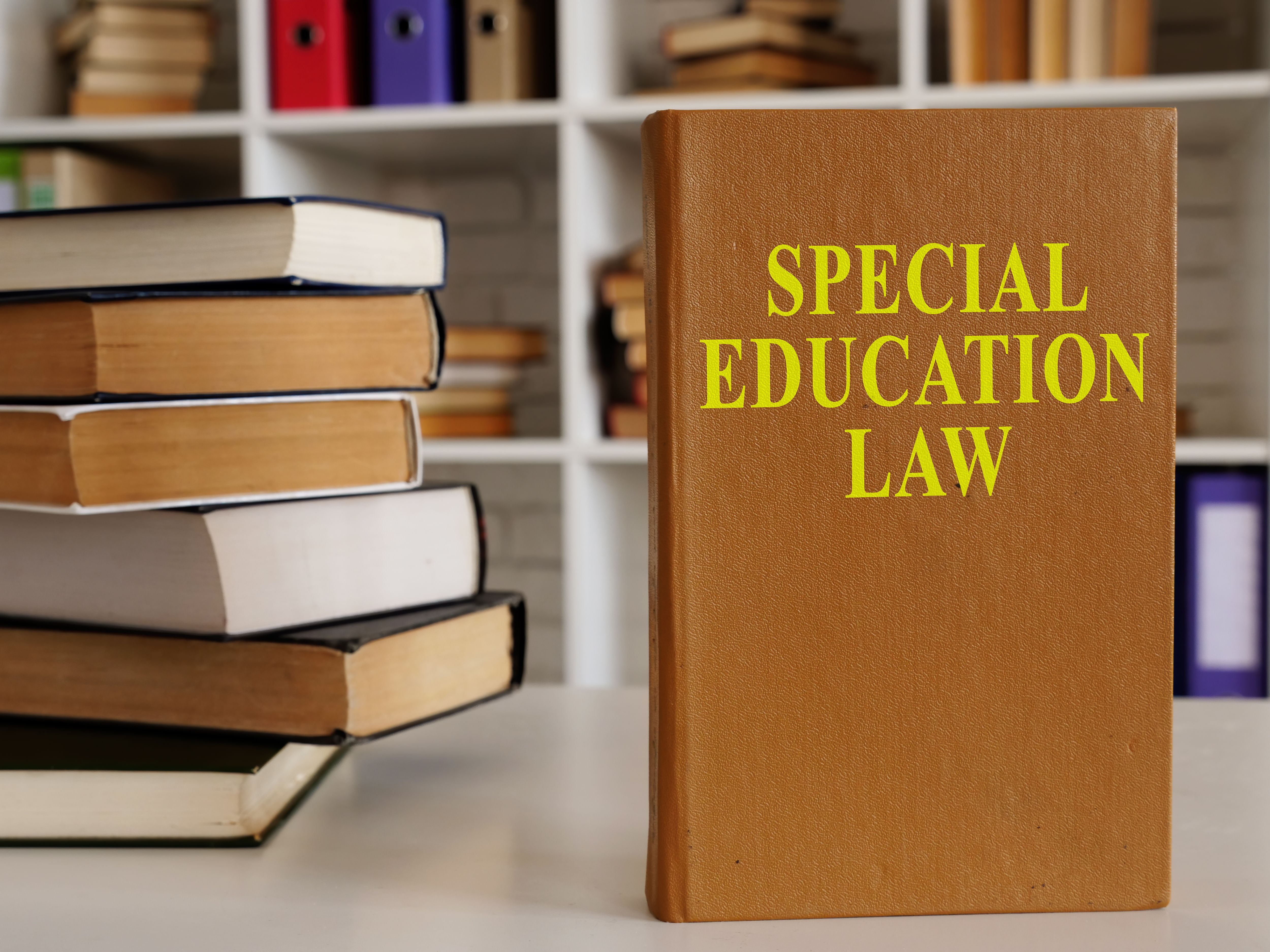 special education advocacy