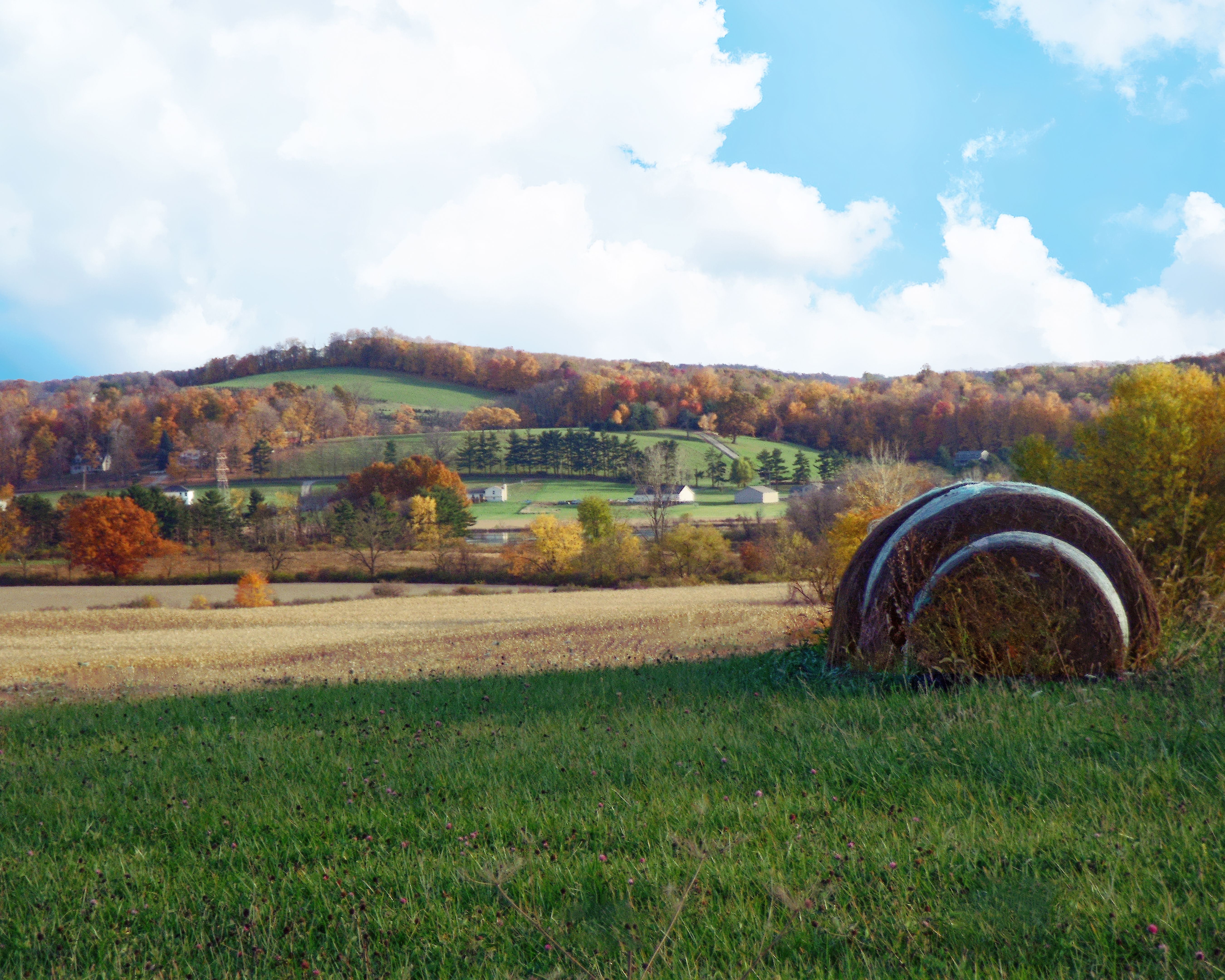 clay county landscape
