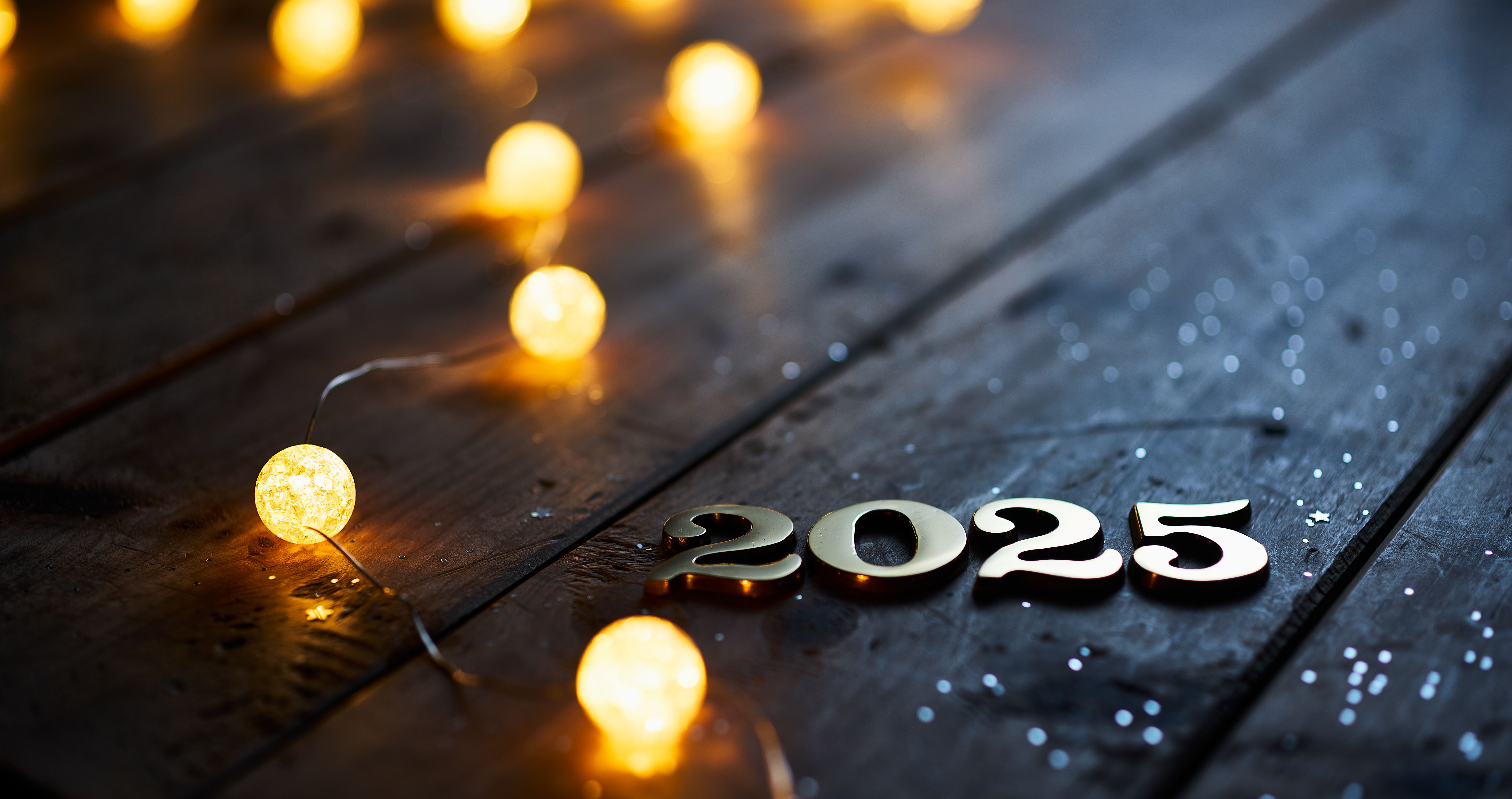 christmas light plan