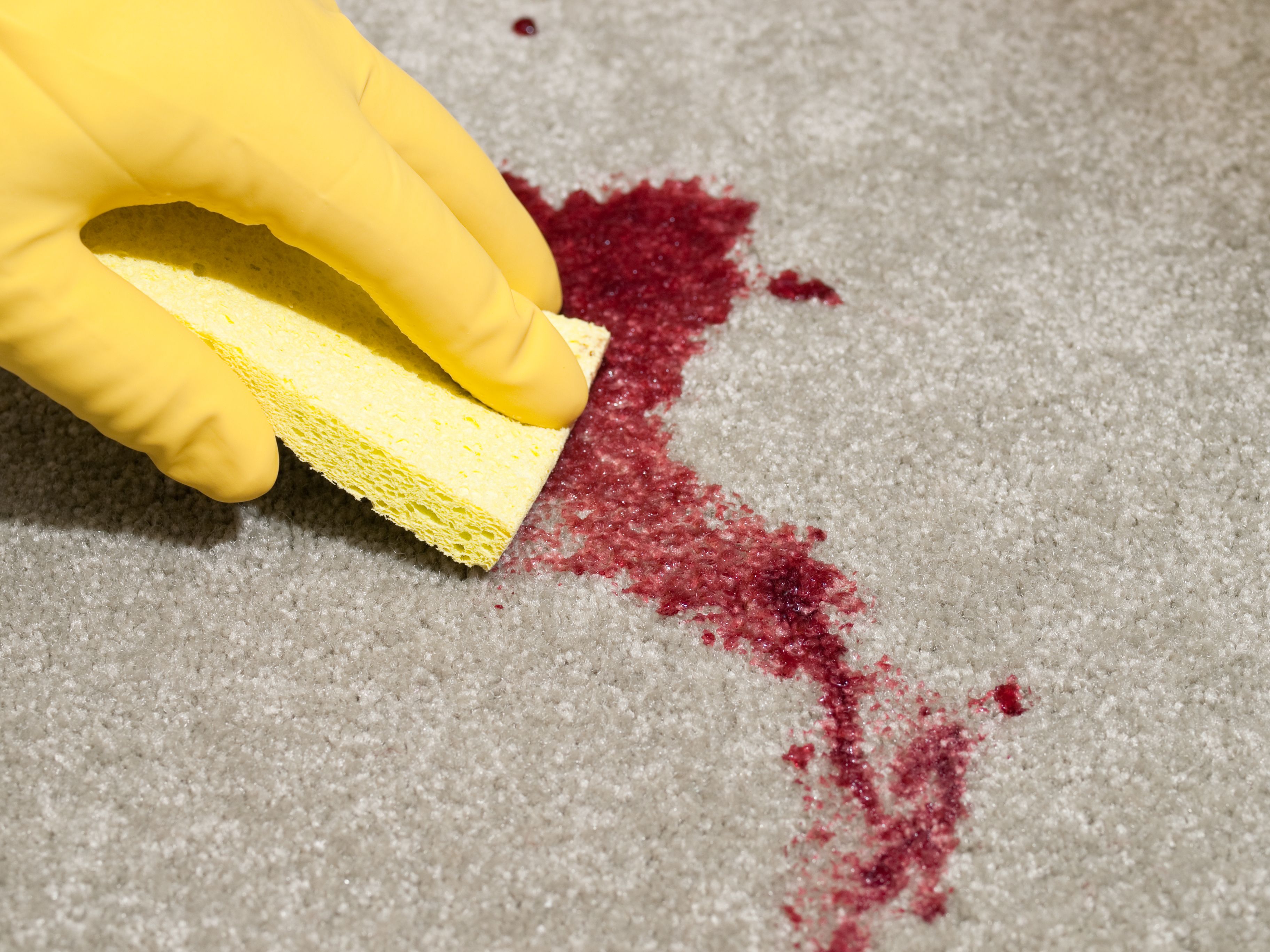 cleaning pet stains