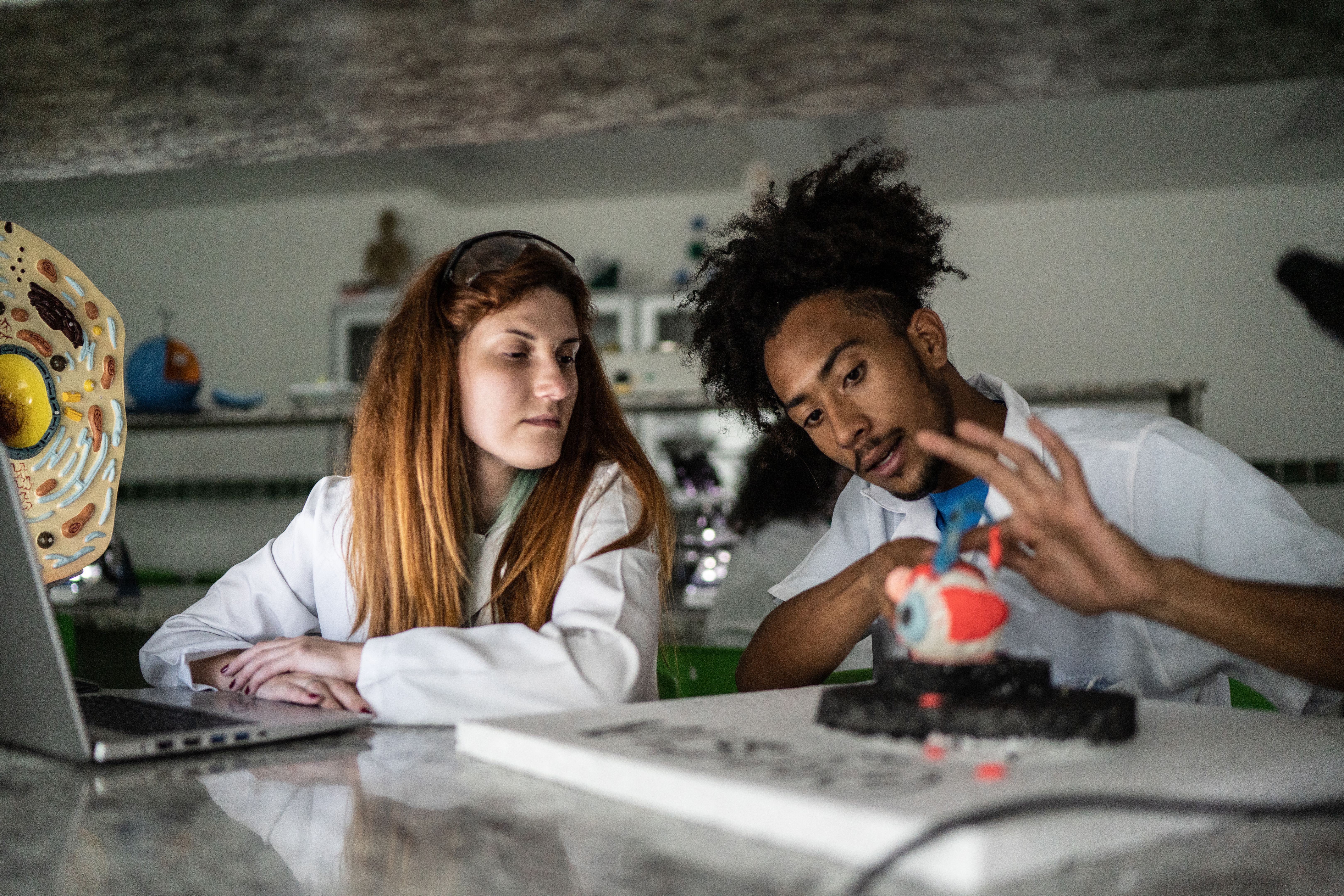students conducting experiments
