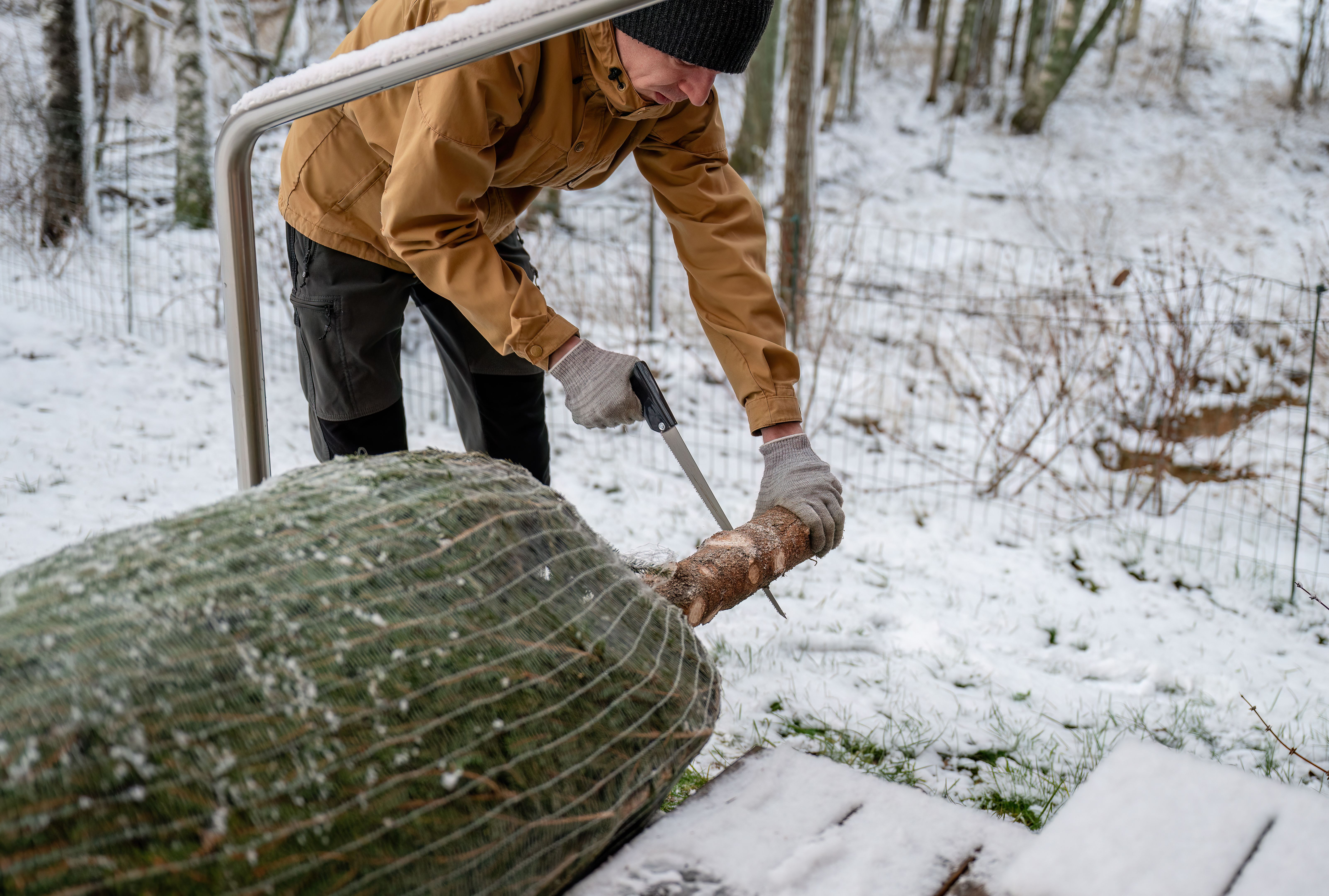 safety tree trimming
