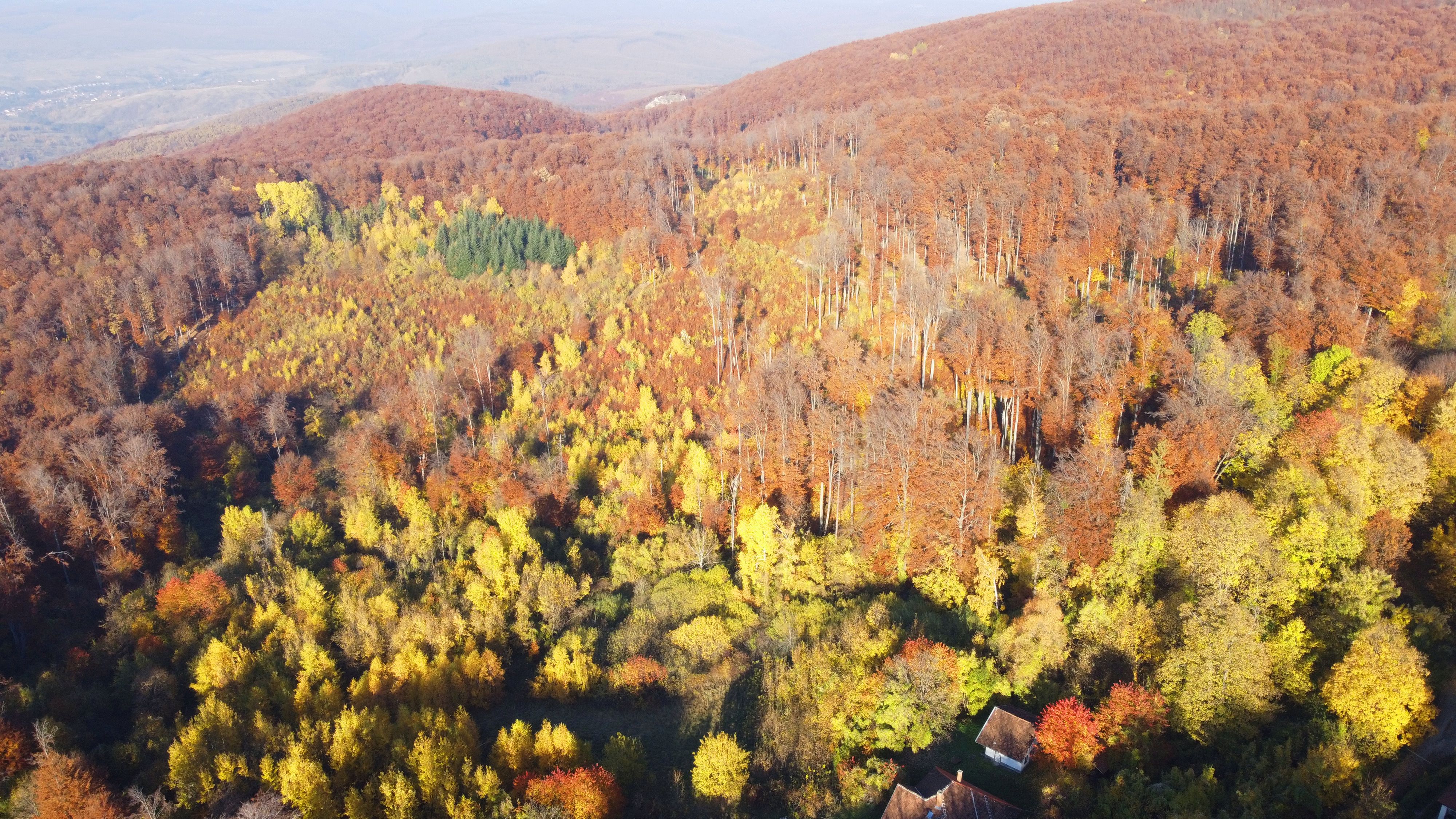 ecosystem biodiversity