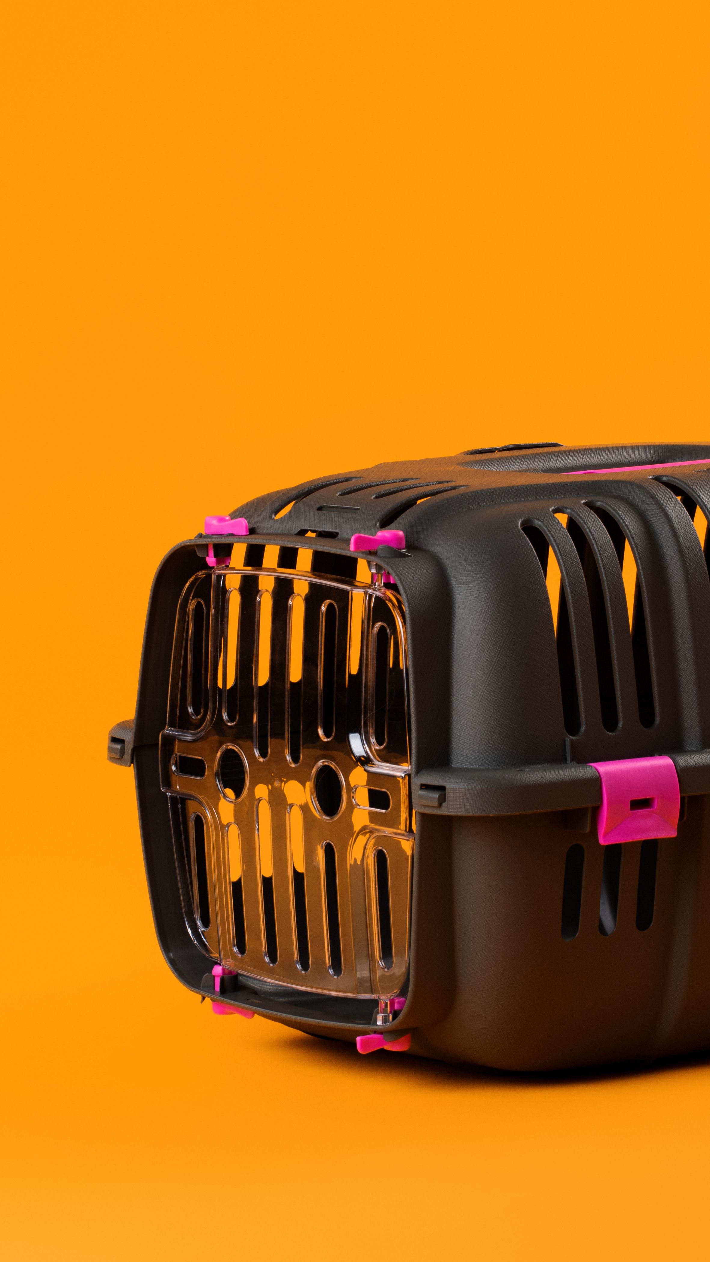 plastic pet crate