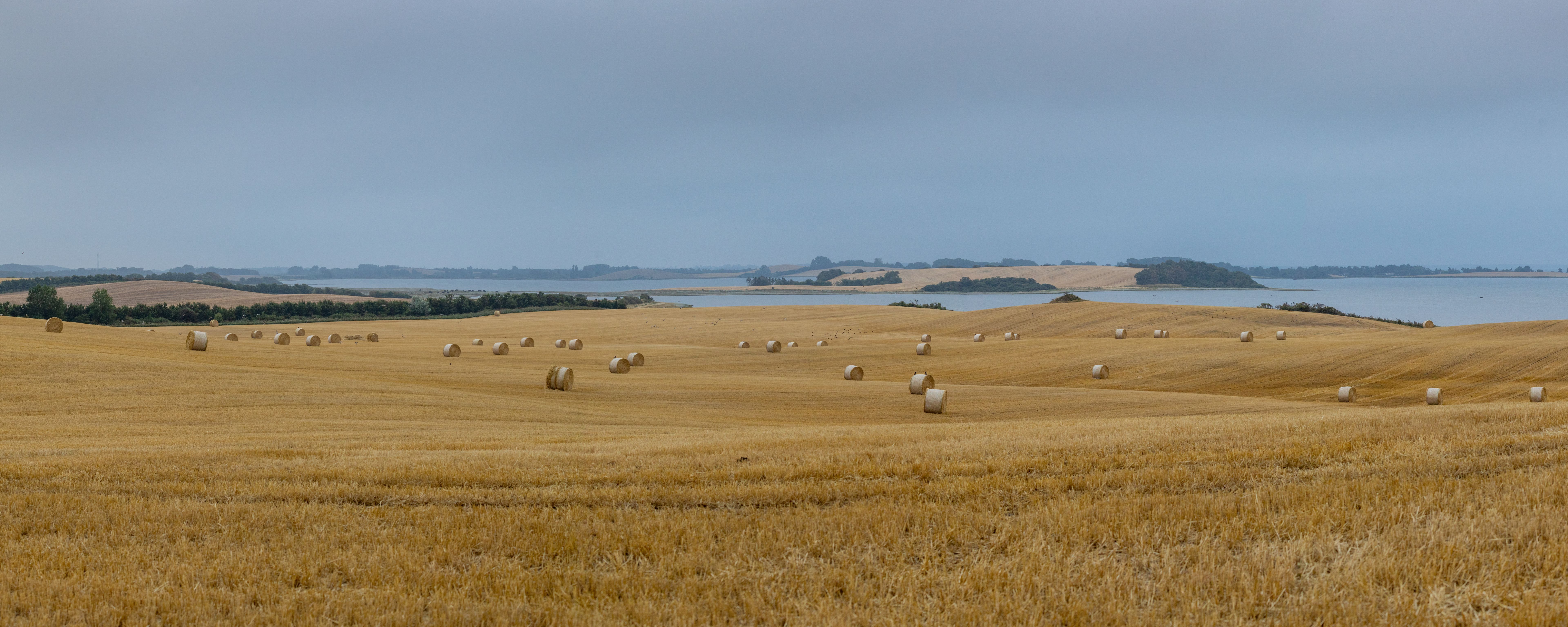 summer farming Denmark