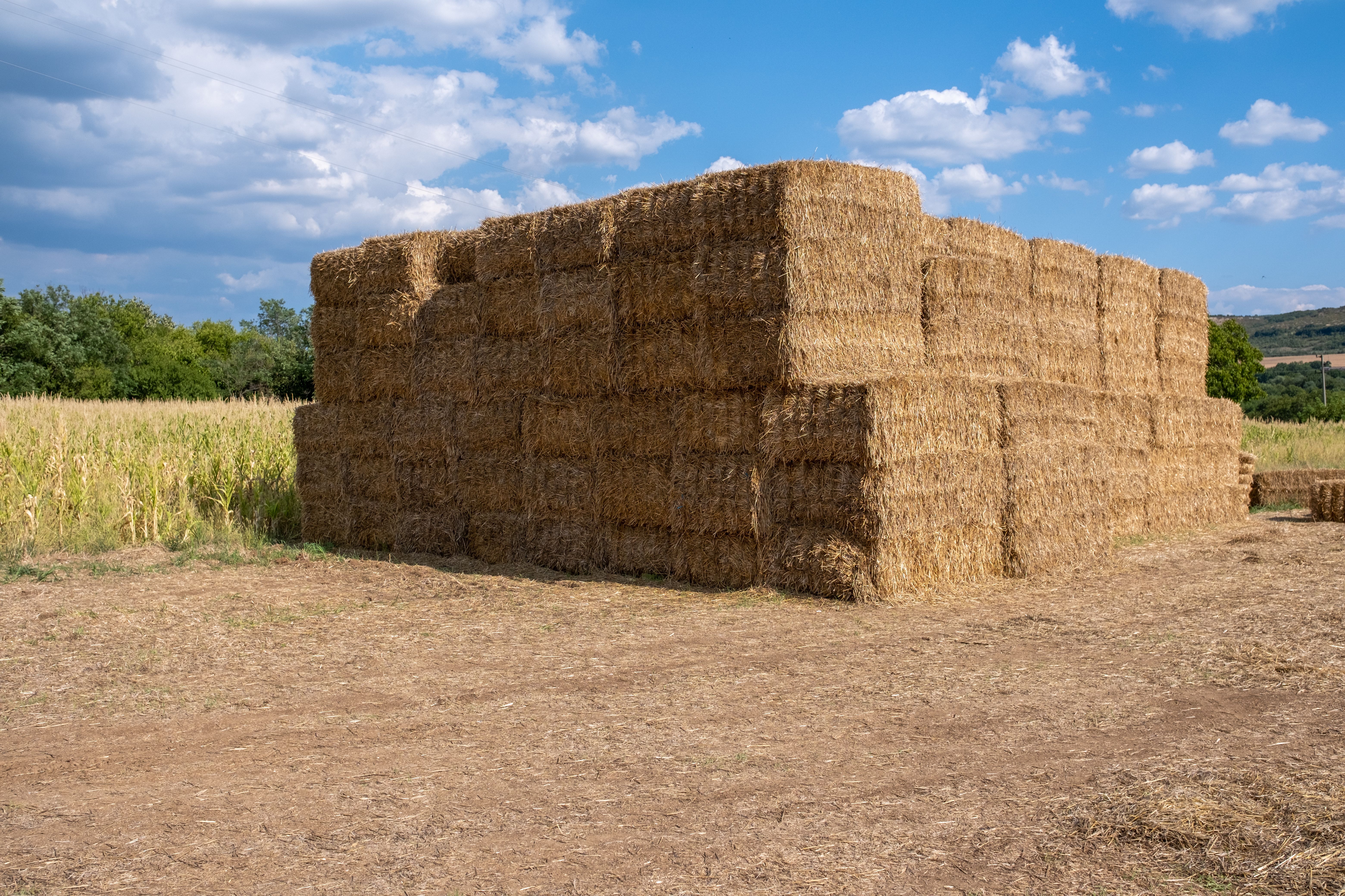 A large pile of hay bales at the end of an agro field on a sunny day.