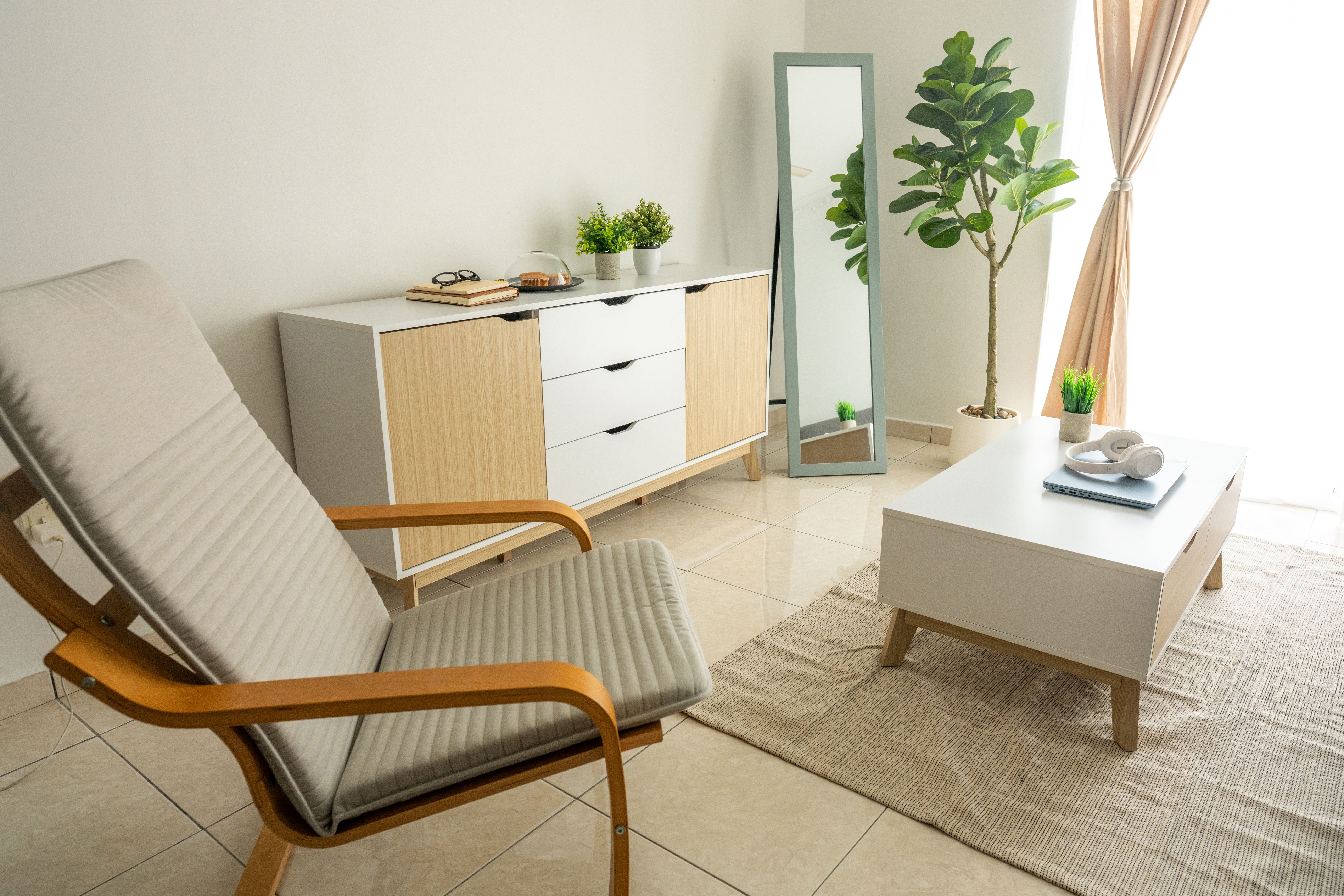 Essential Living: A Balanced Modern Room