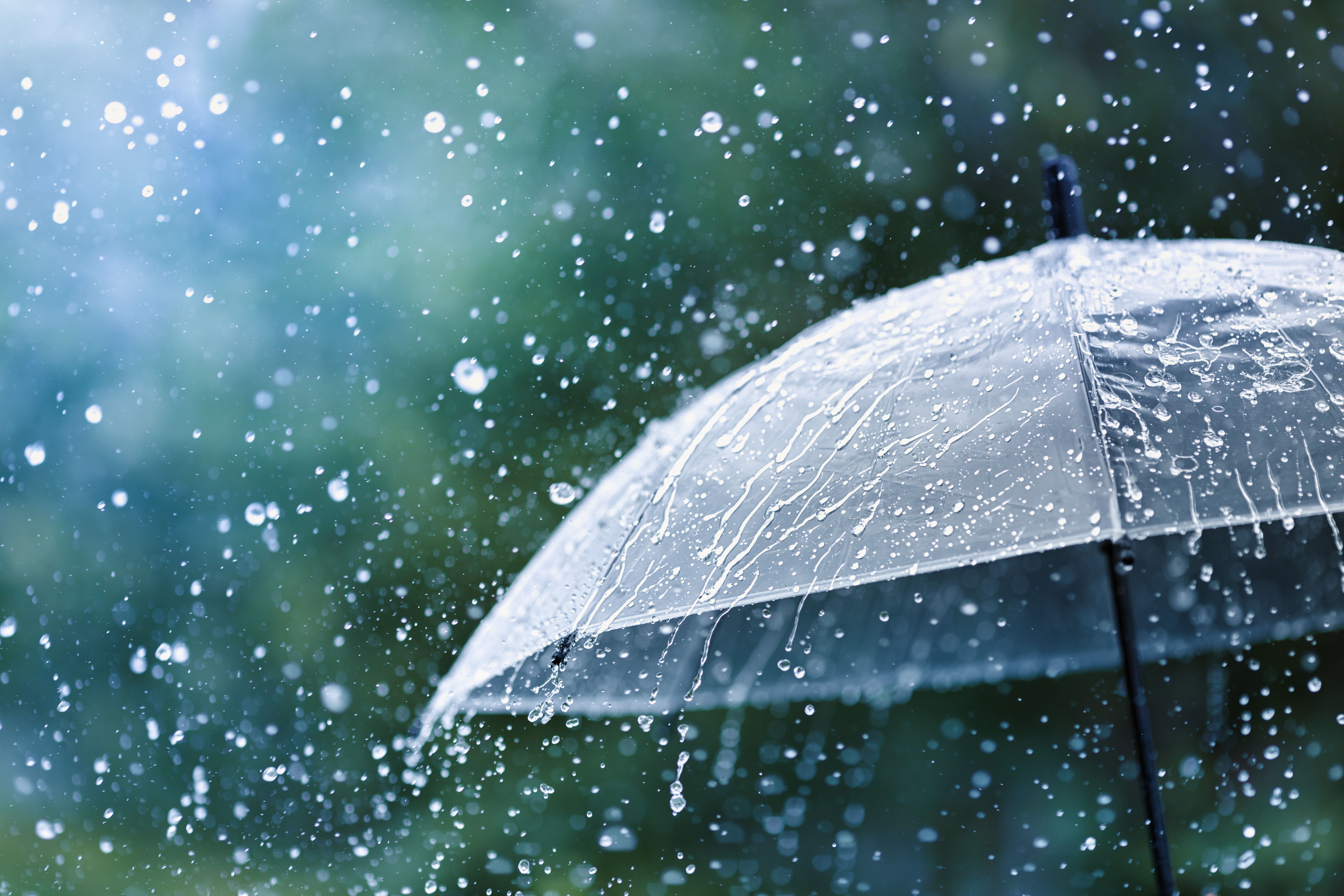 weather protection