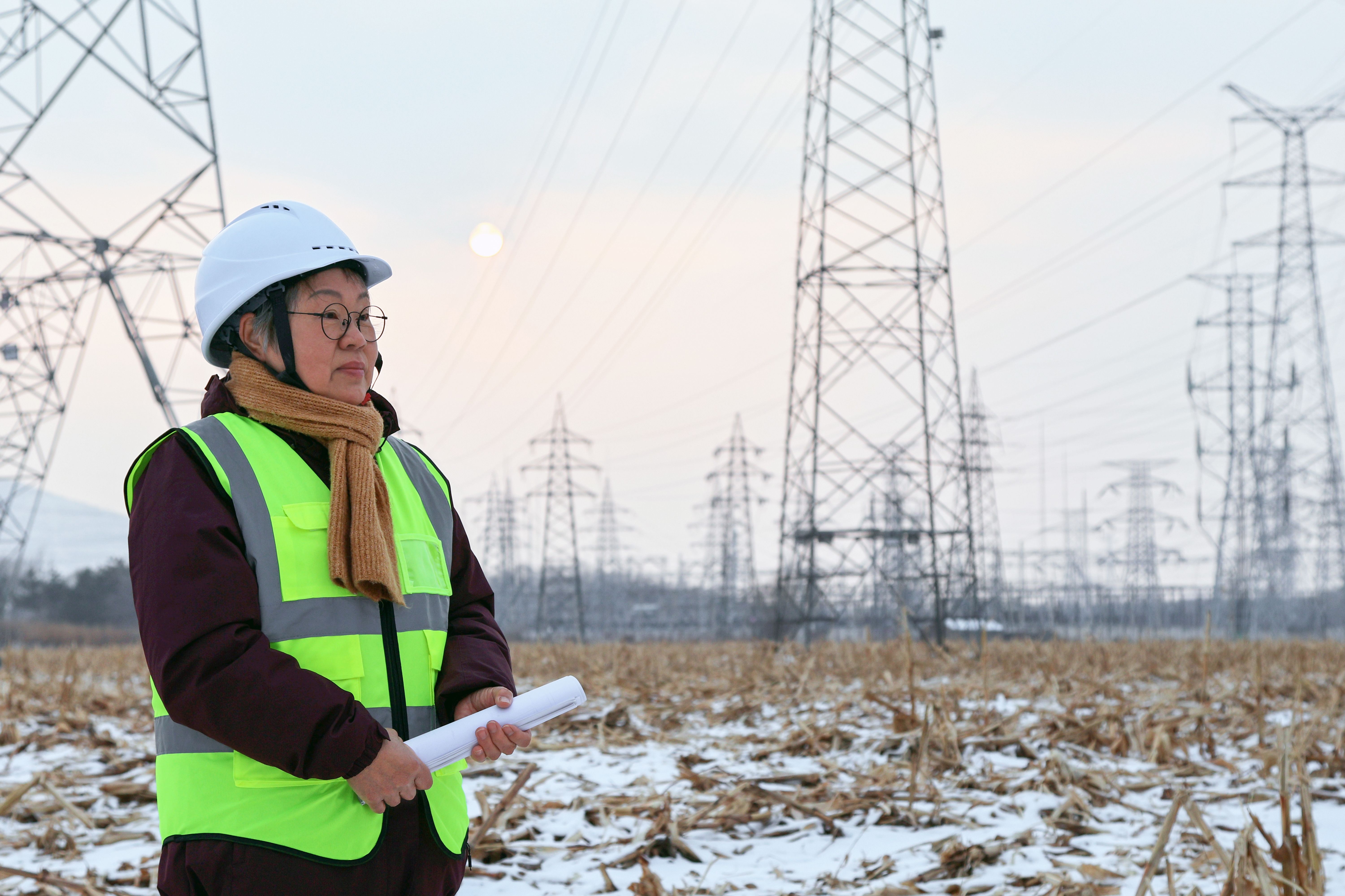 winter electrical inspection