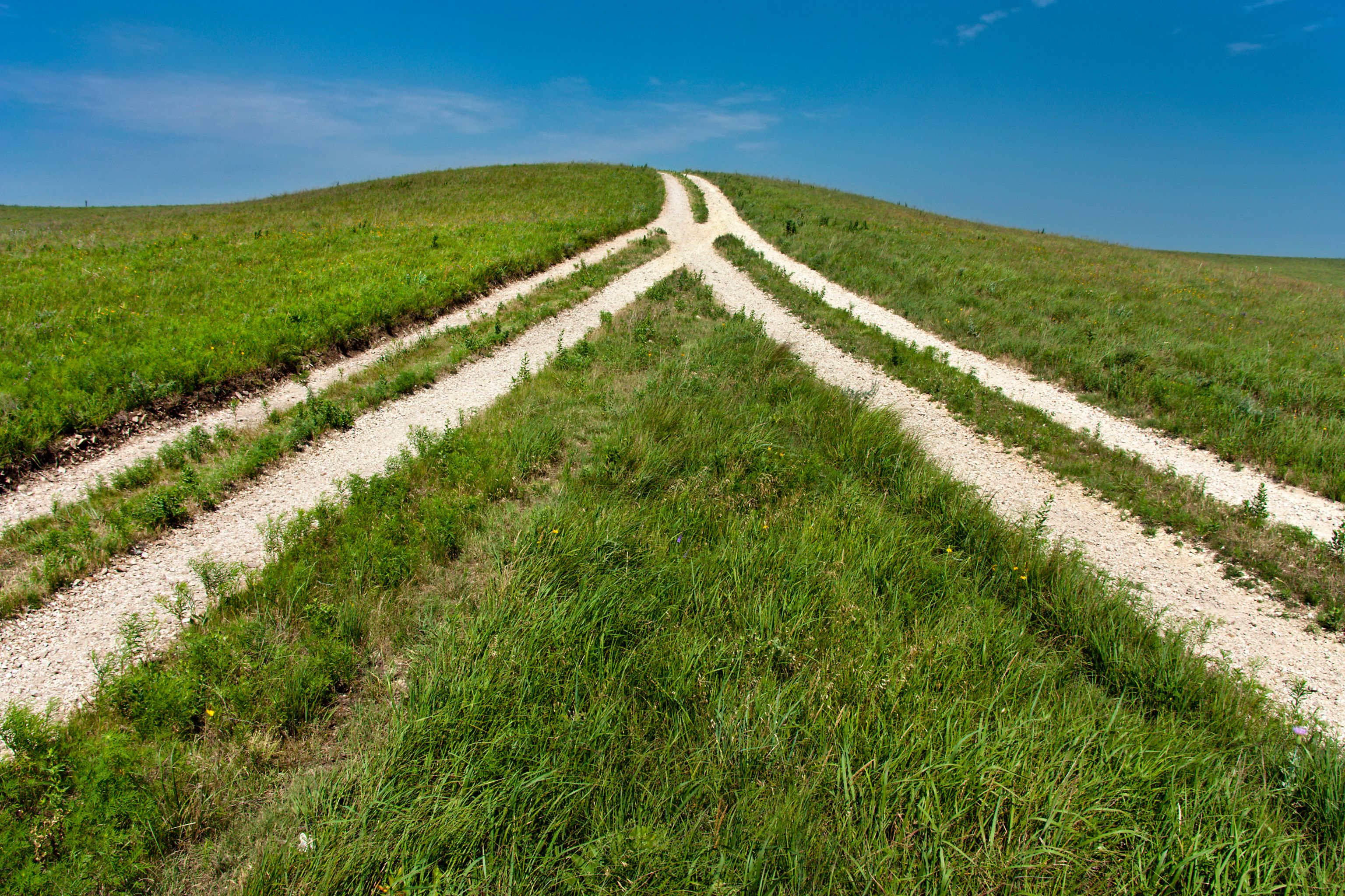 Reversed view of Fork in the Road means coming together Reversed view of Fork in the Road means coming together